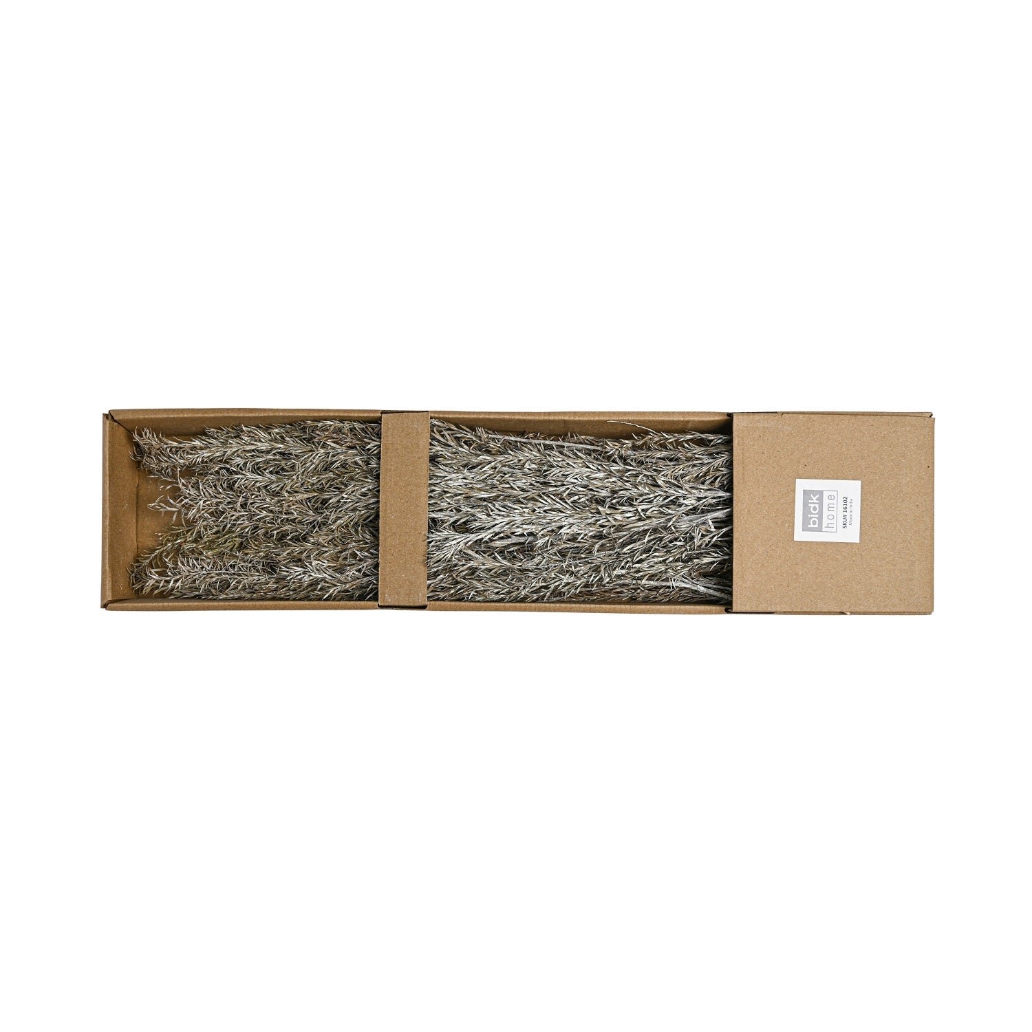 White Wash Dried Stems