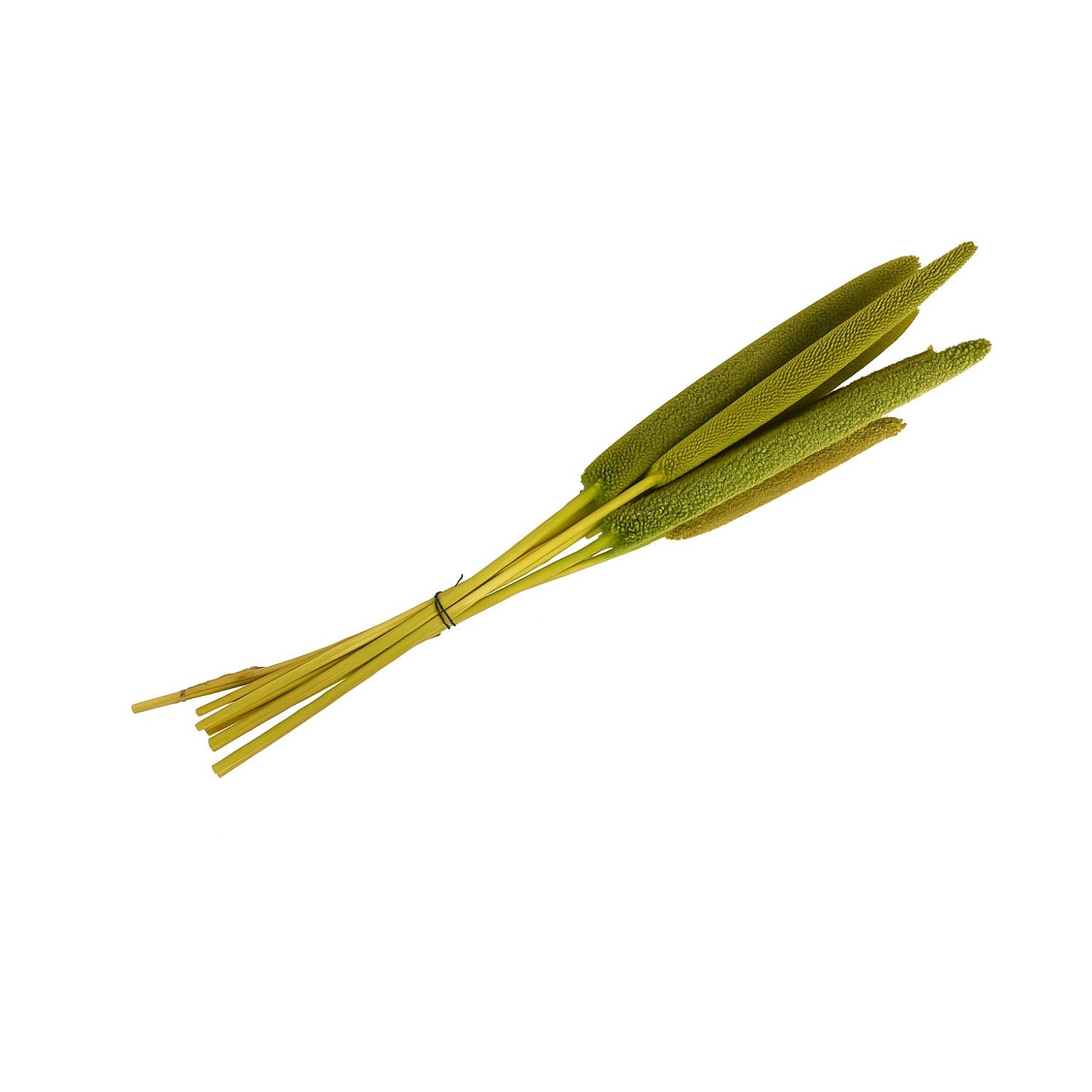 Dried Bazra Bunch