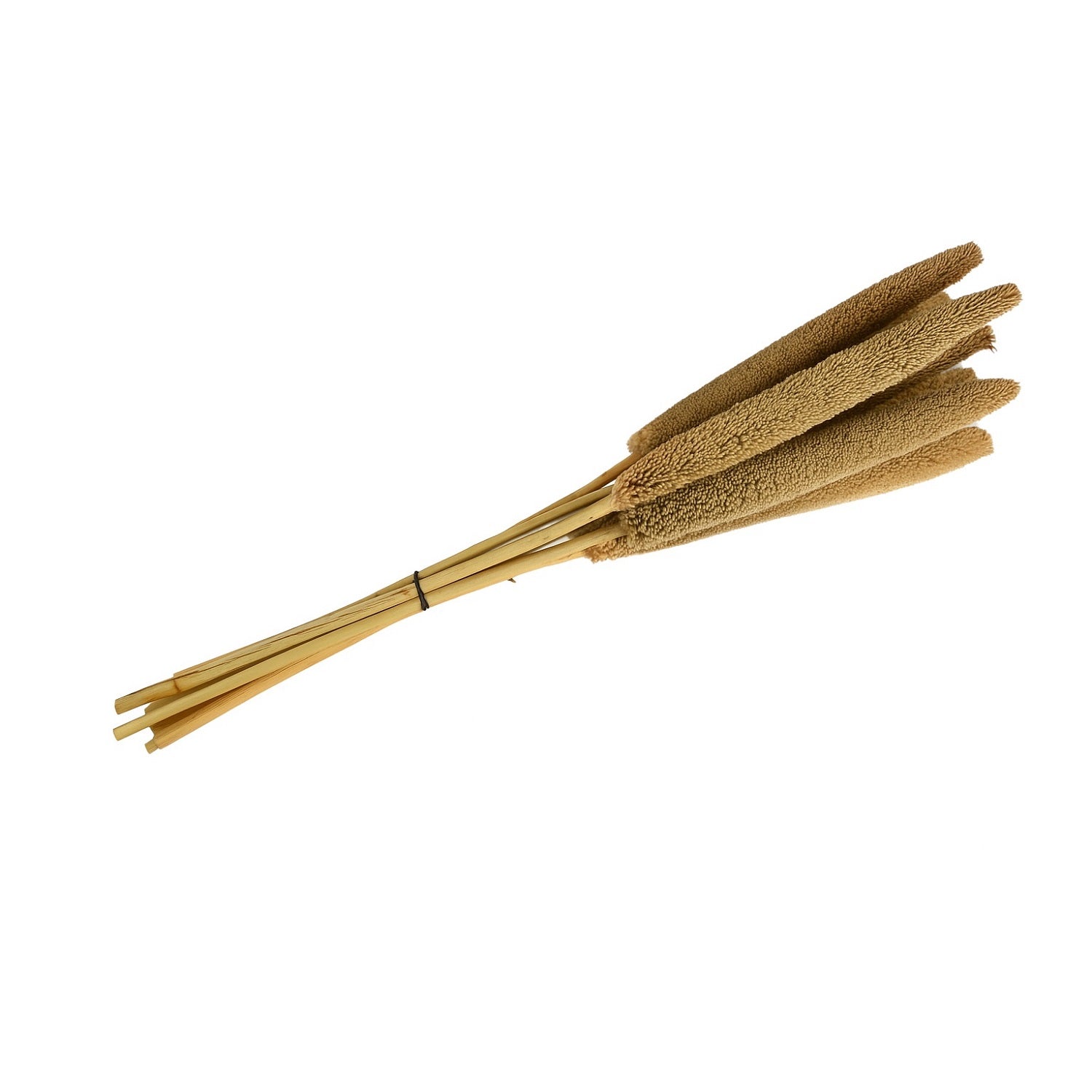 Dried Bazra Bunch