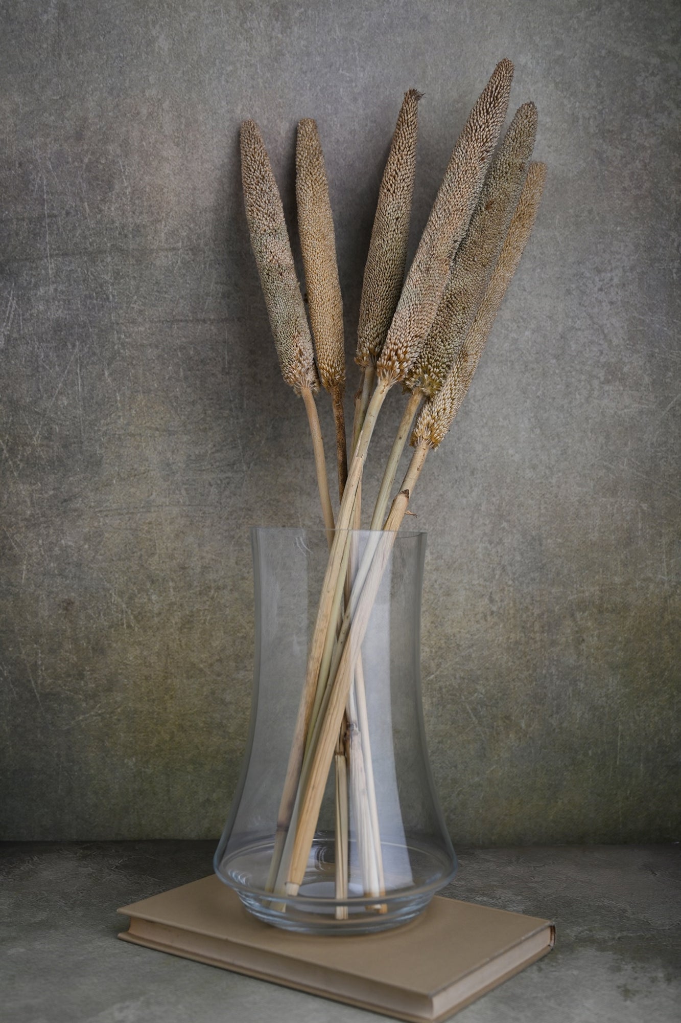 Dried Bazra Bunch