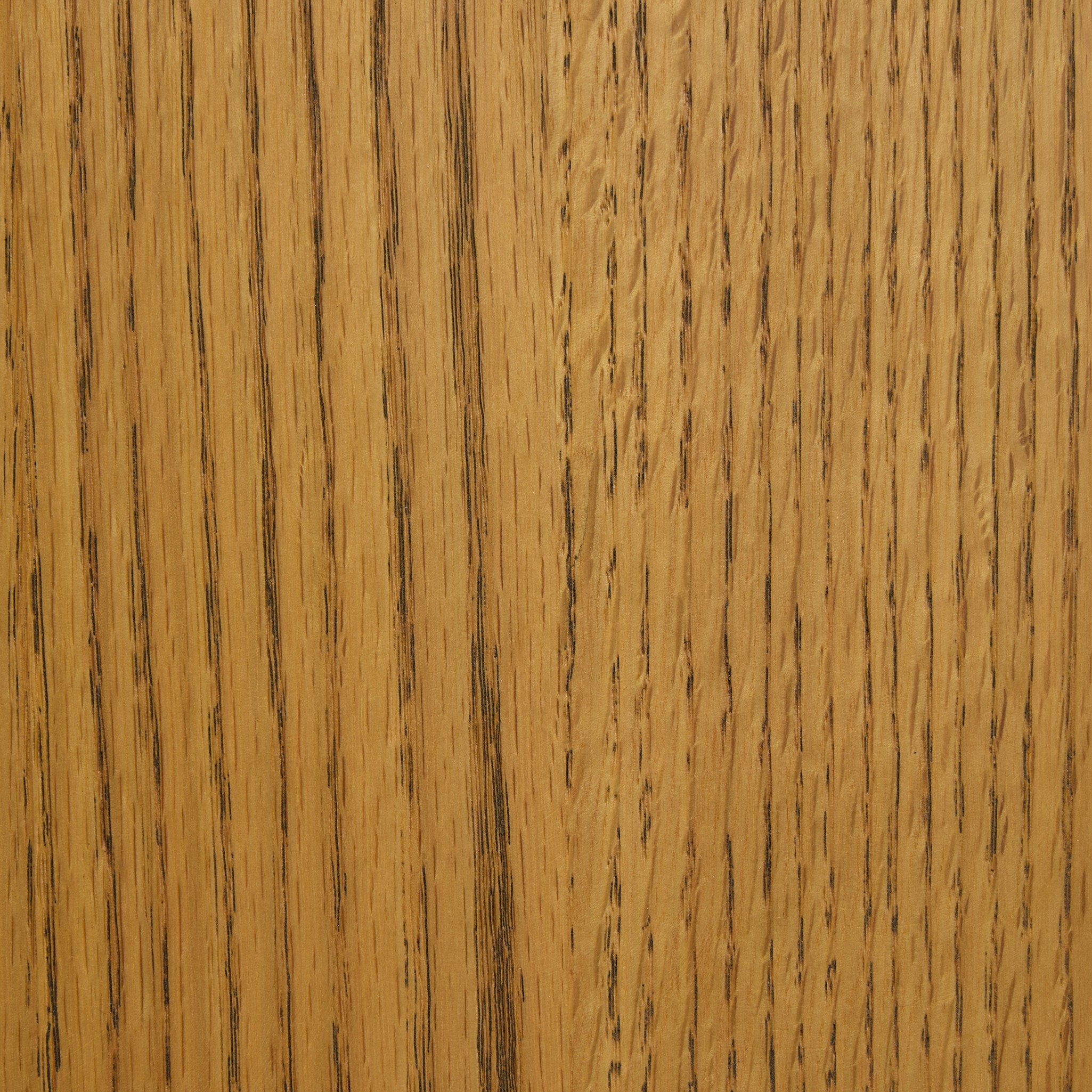 Ripley Dining Chair