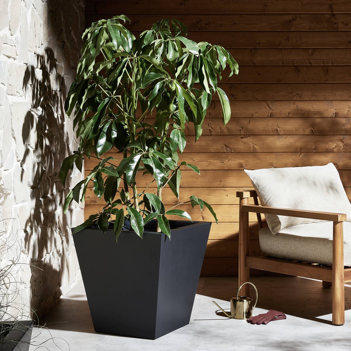 Colusa Planter
