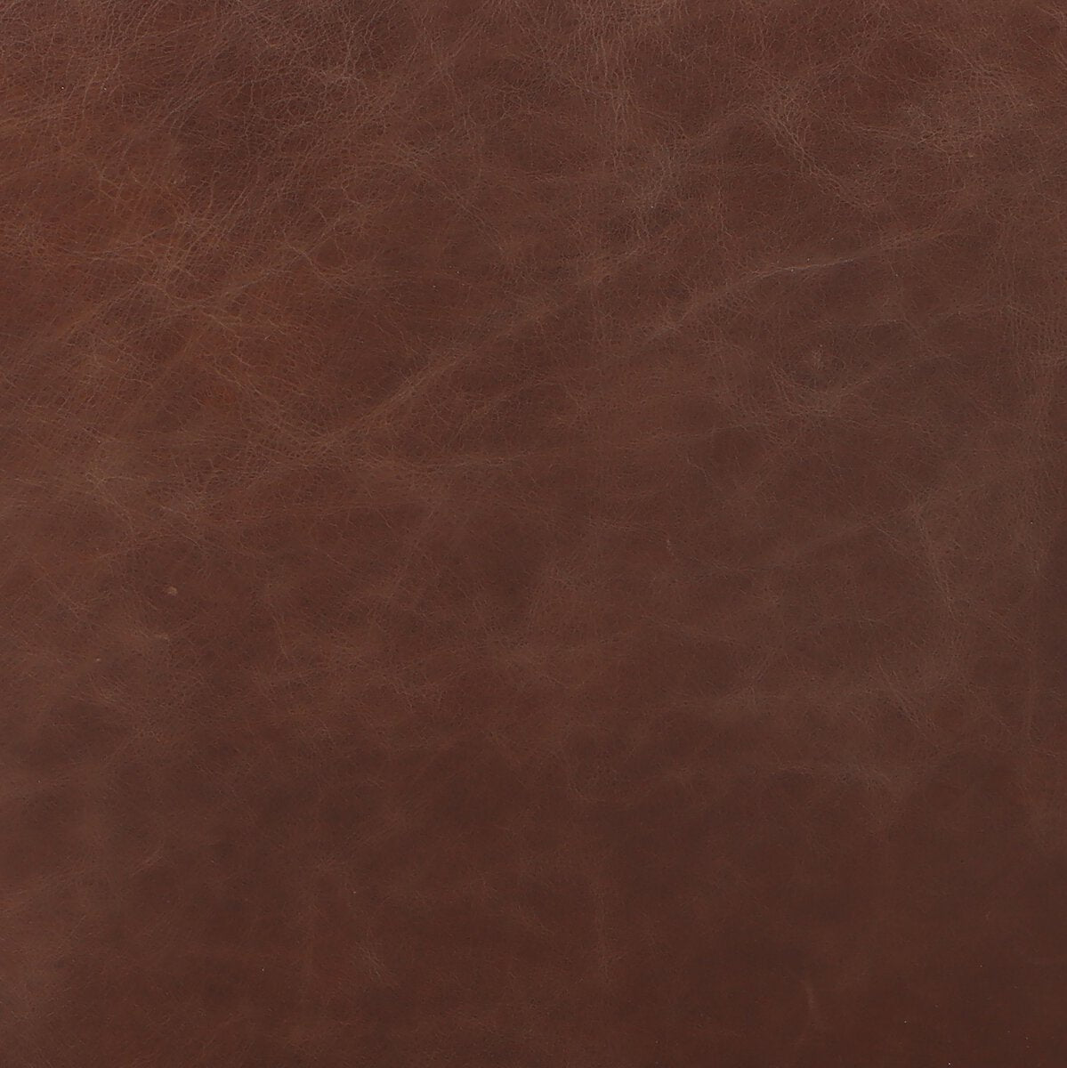 Barbour Bar Stool