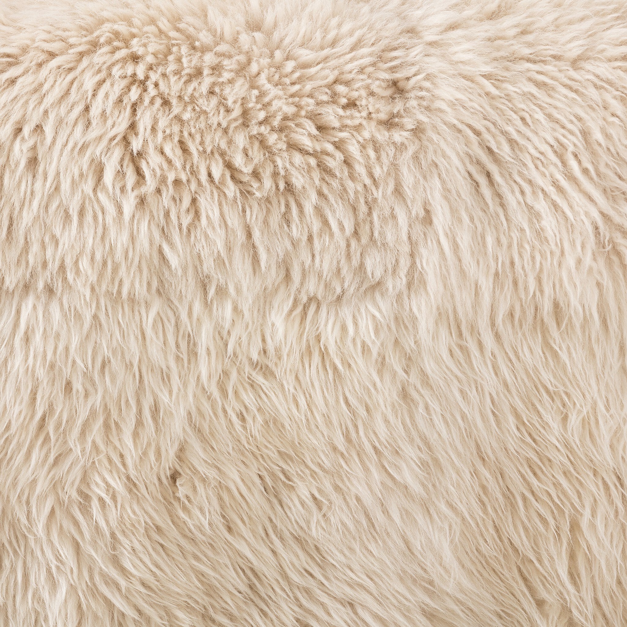 Zandra Chair