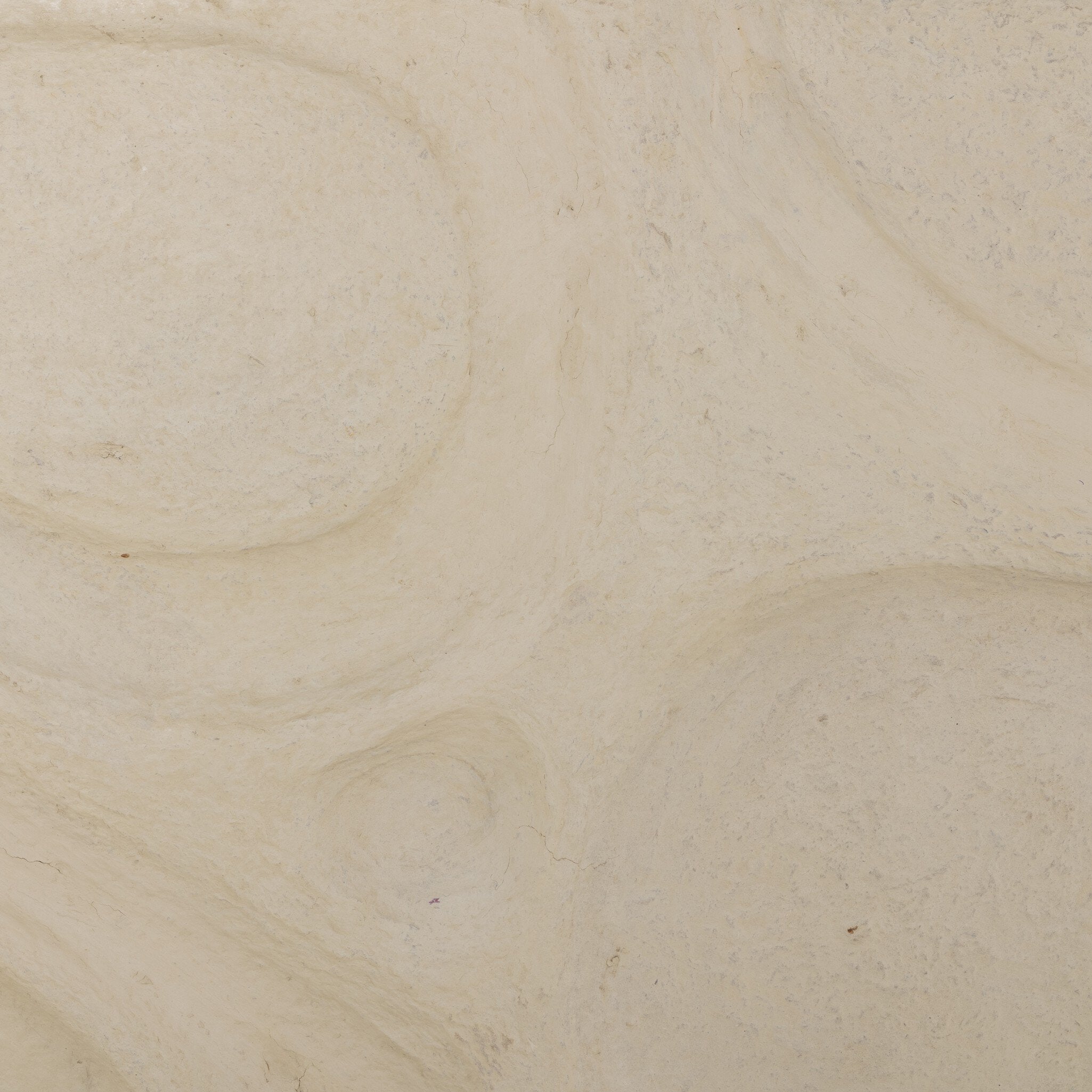 Organic Relief Wall Art