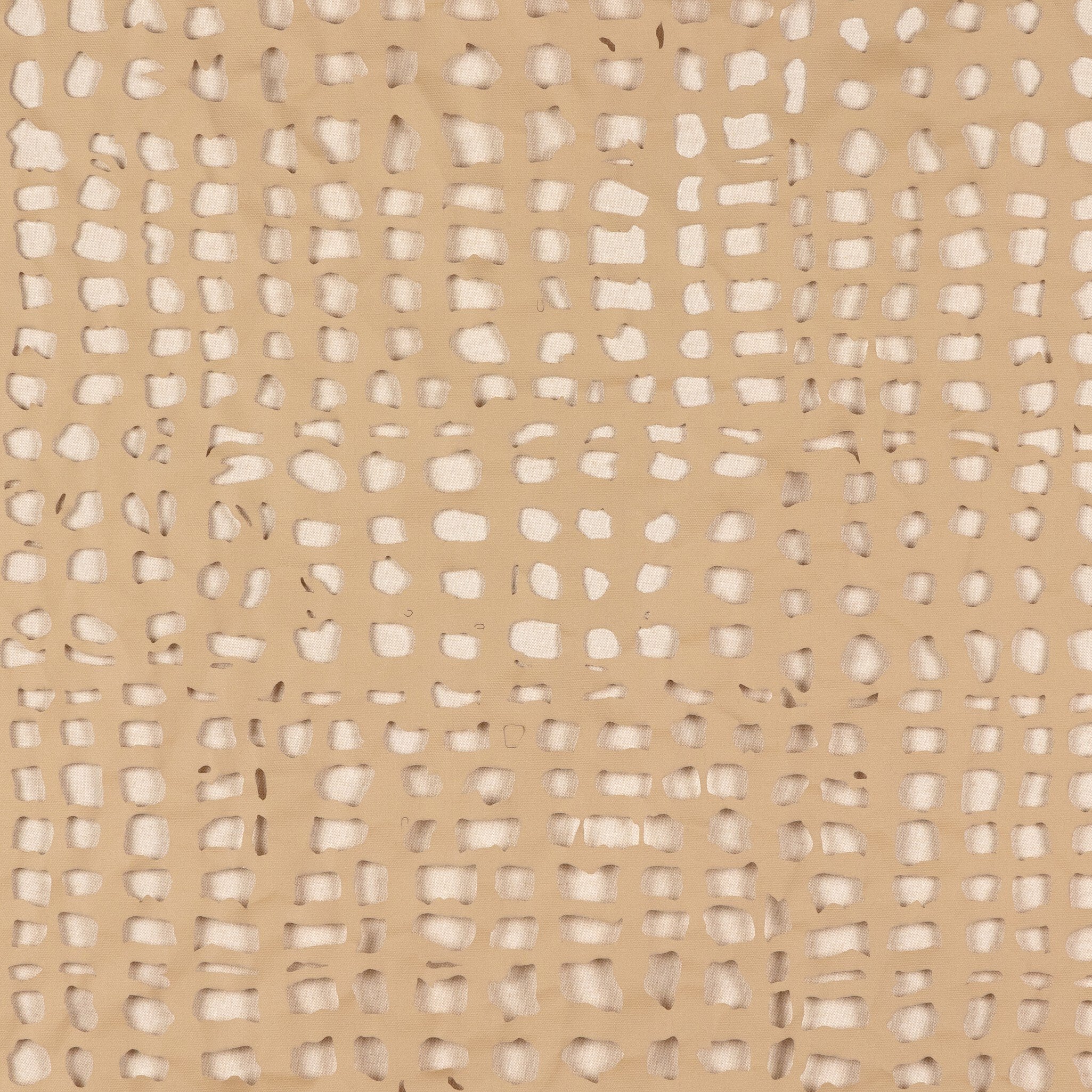 Dry Land Gallery Wall Set