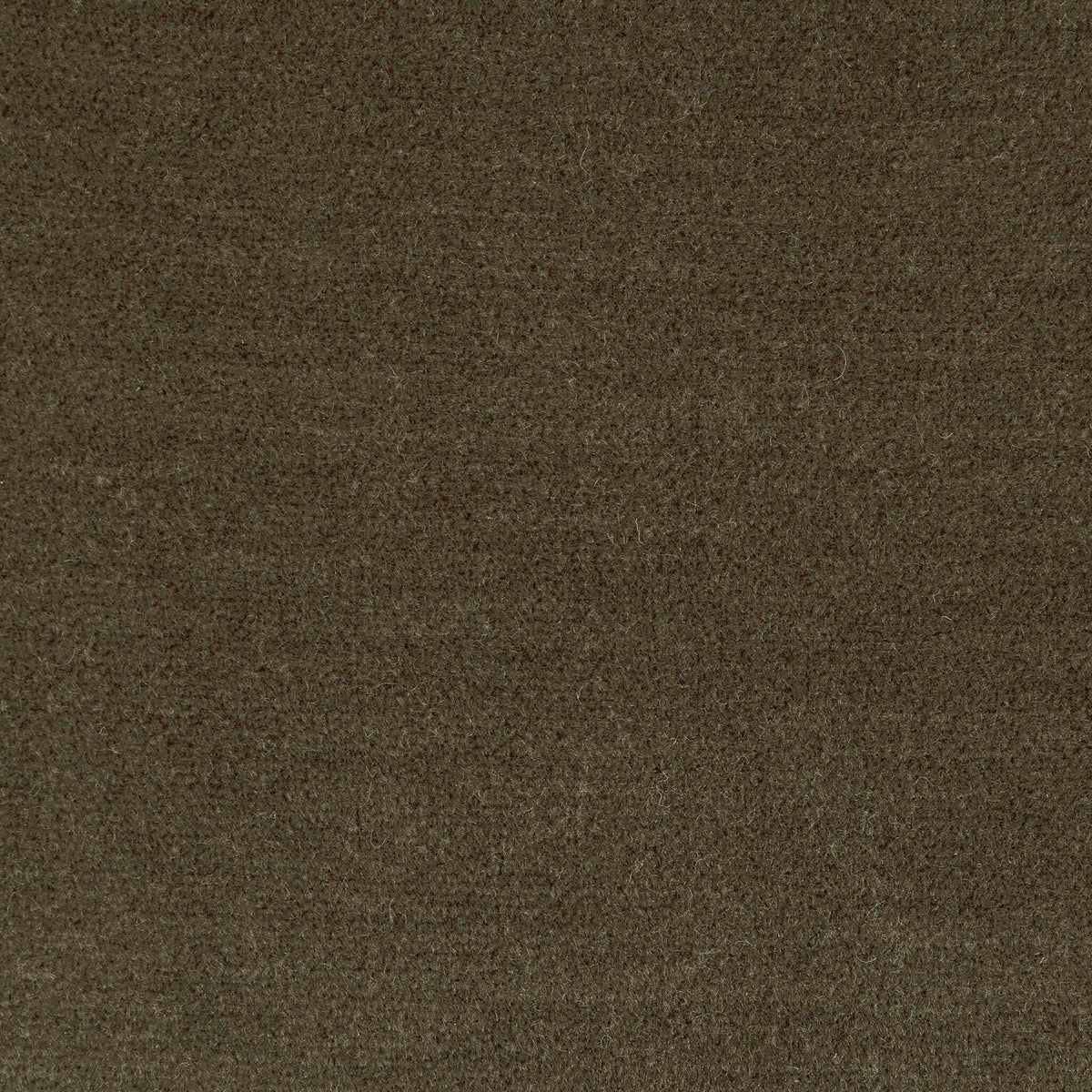 Amalia Chair