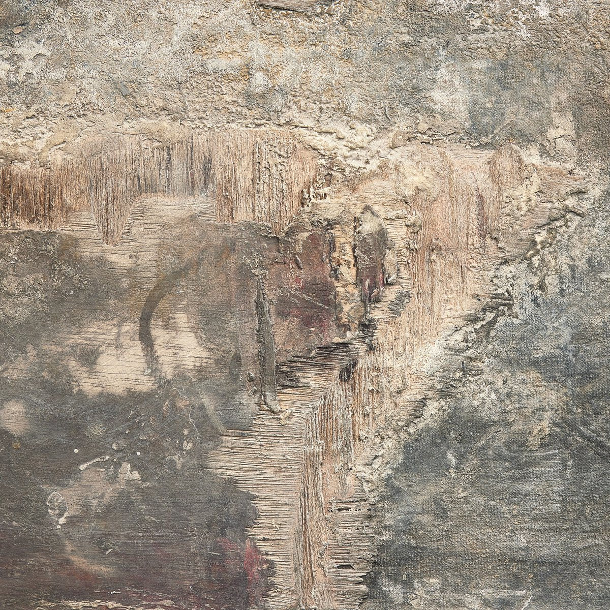Sonora Noche