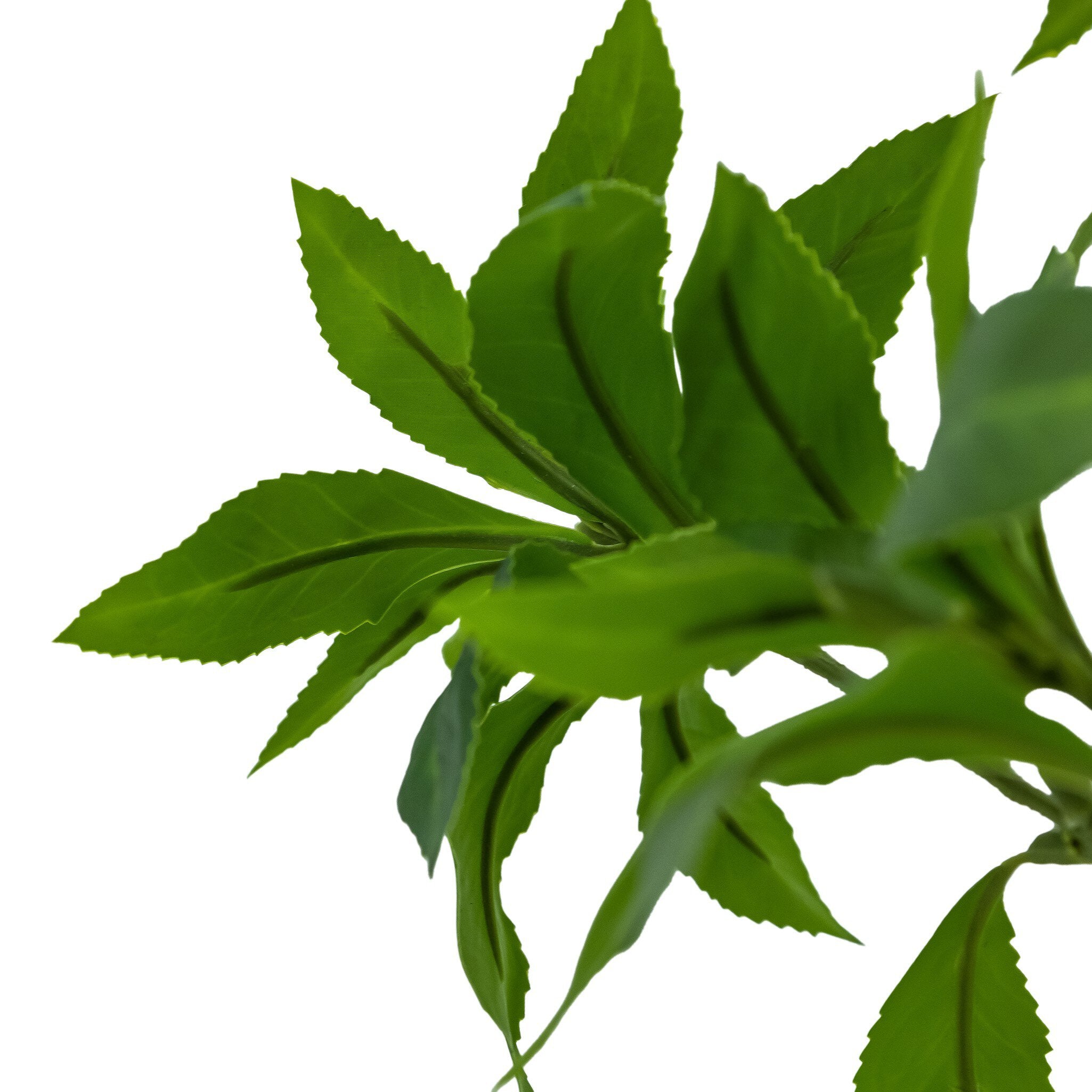 Faux Pieris Tree