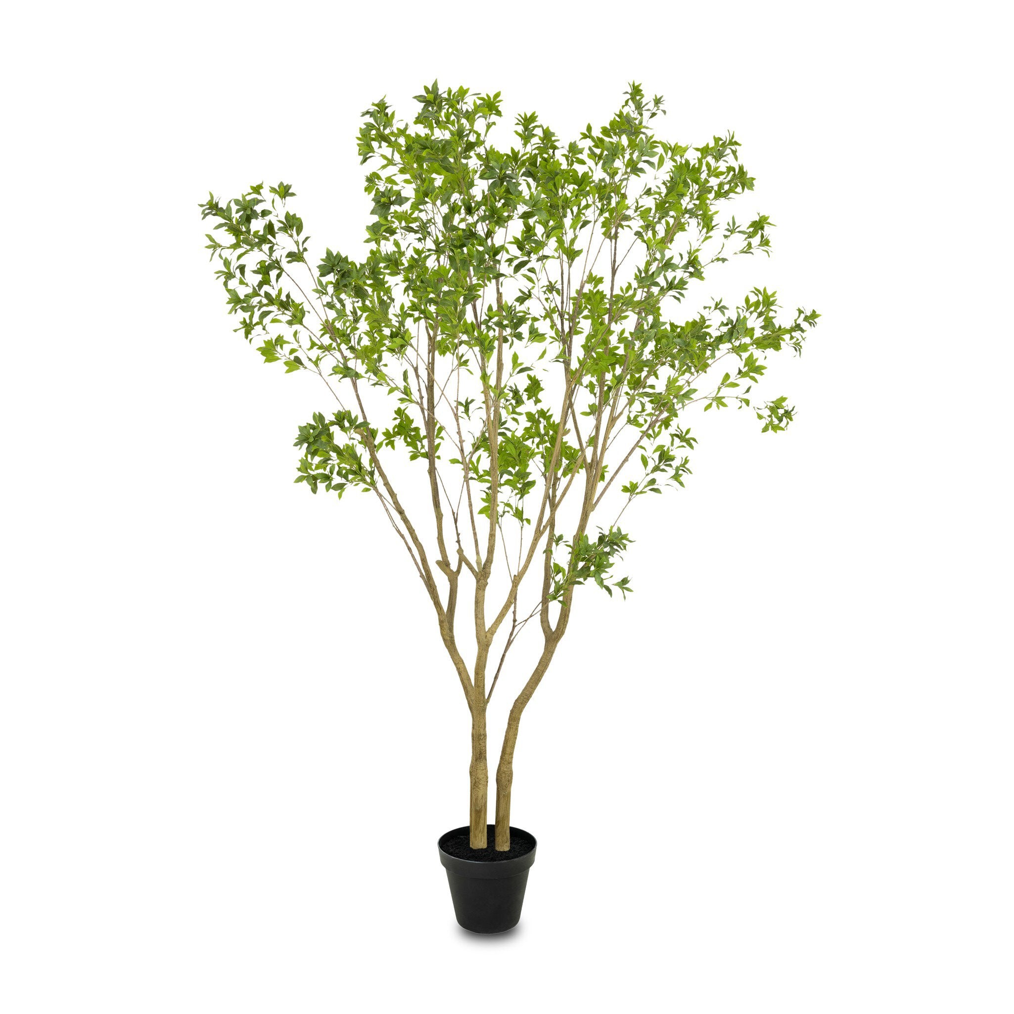 Faux Pieris Tree