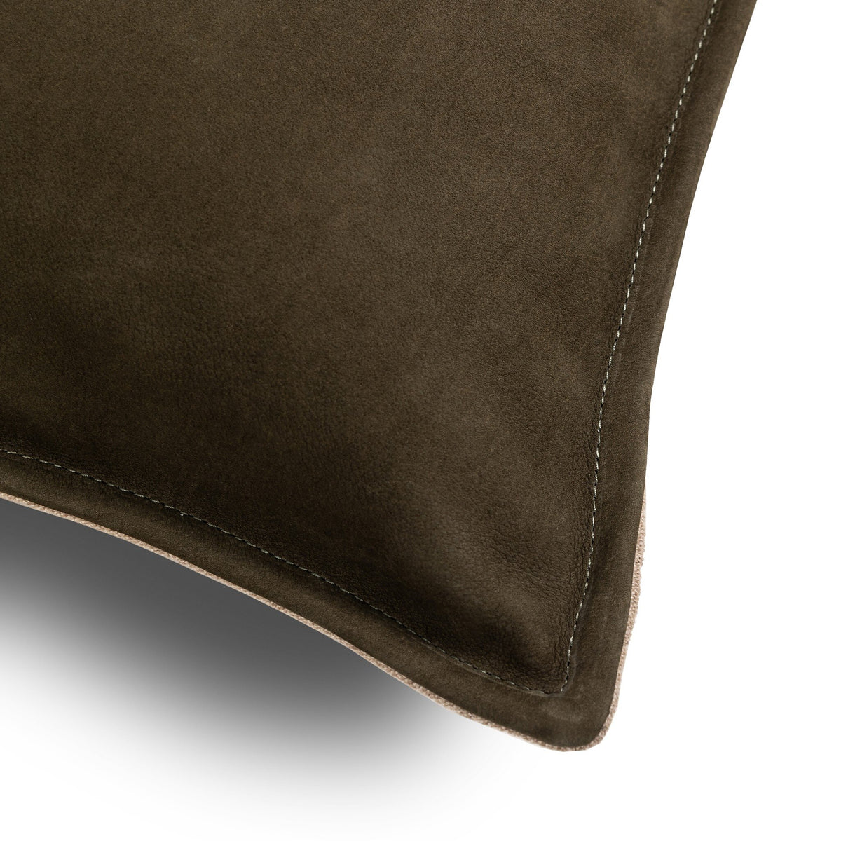 Thayer Pillow 22x22