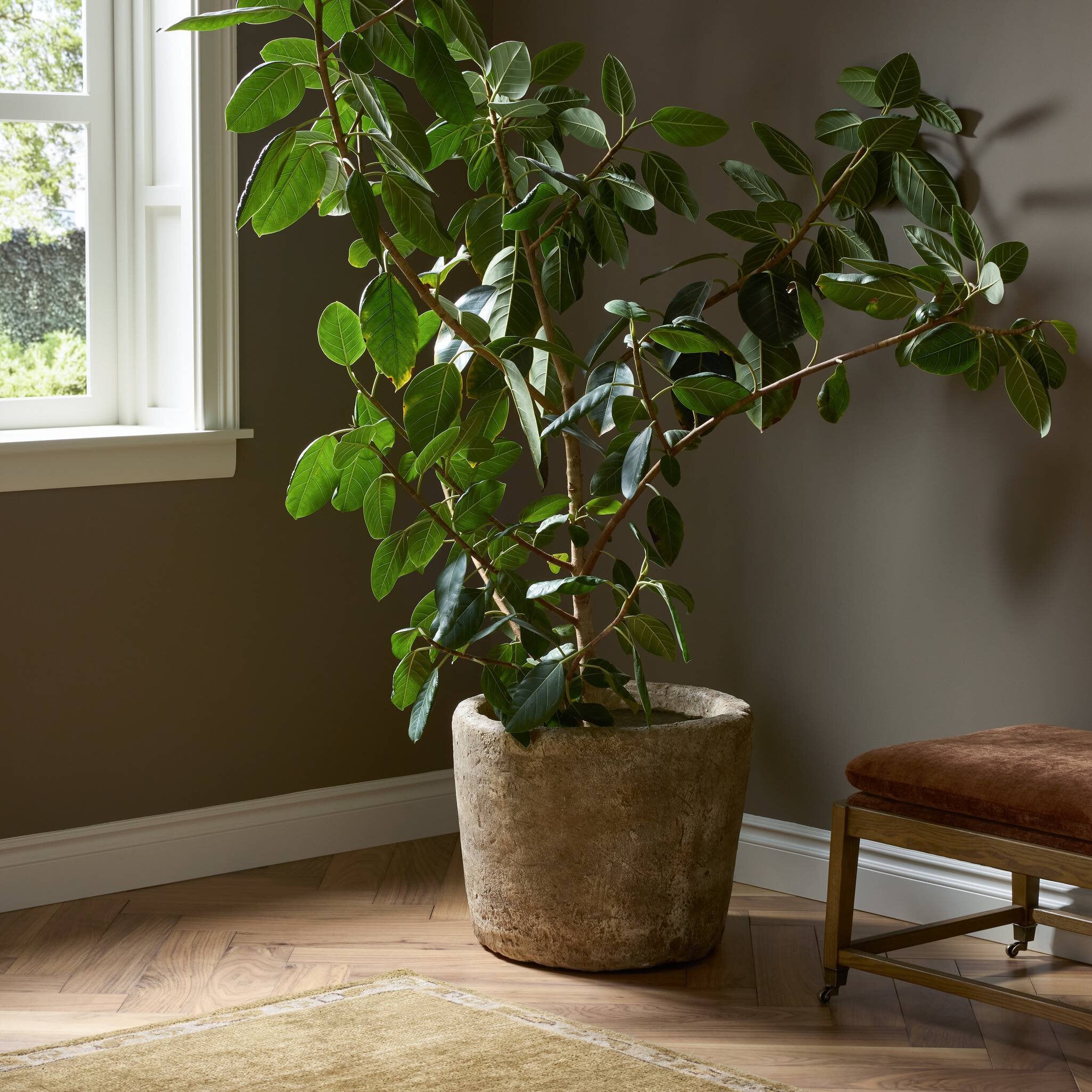 Azelle Planter - StyleMeGHD - Planters + Pedestals