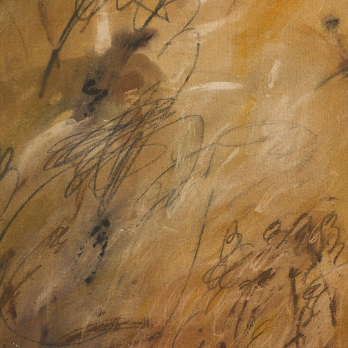 Chihuahuan Soil - StyleMeGHD - Artwork