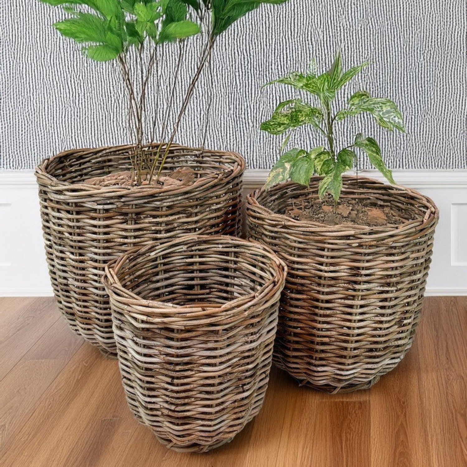 Riley Round Rattan Basket, Set of 3