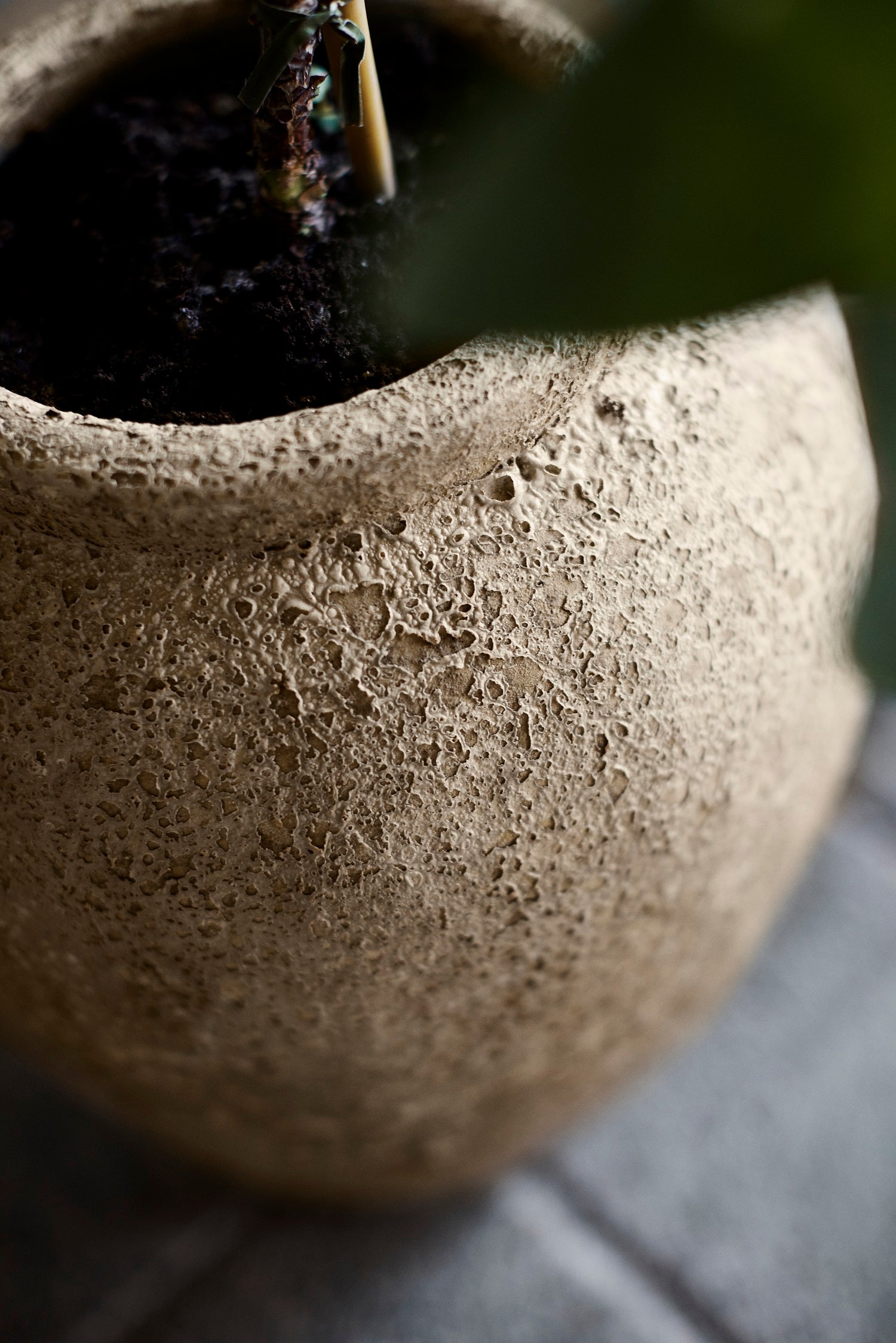 Logan Jar-Vases + Jars-StyleMeGHD