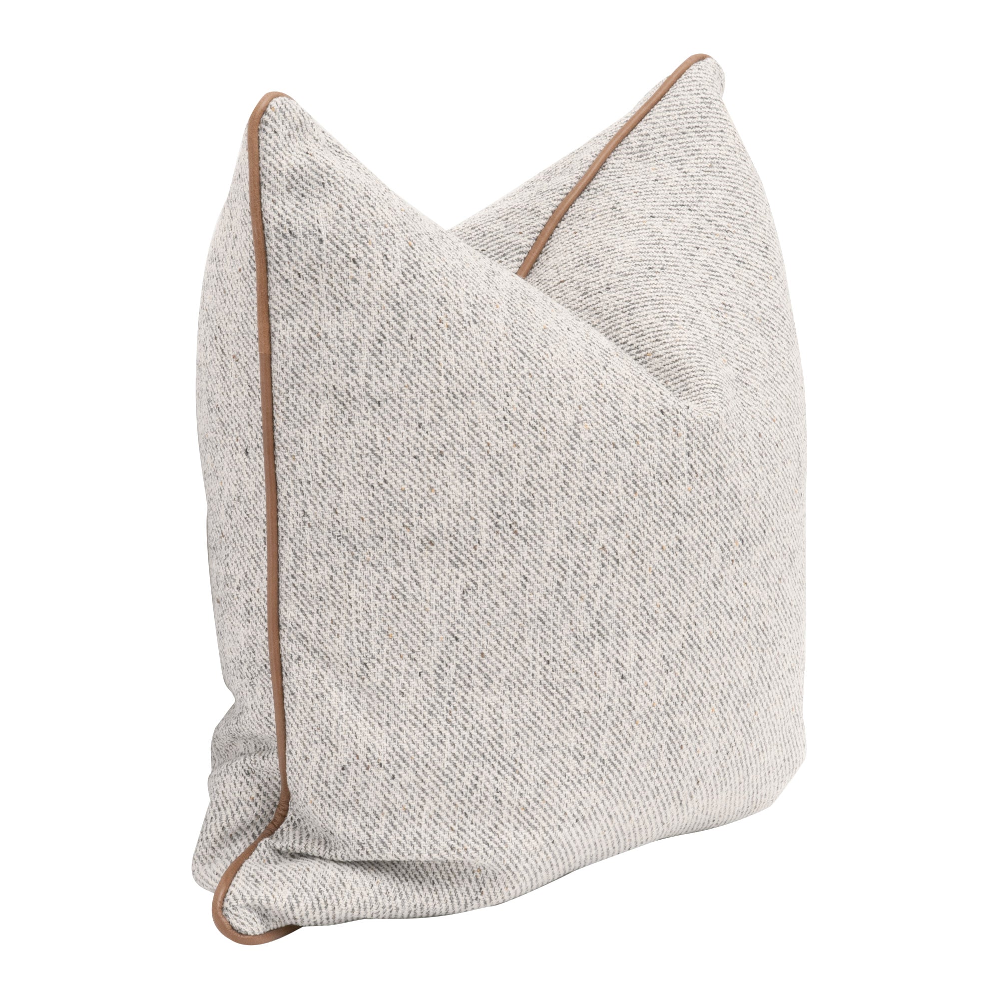 Darwin Pillow, Set of 2