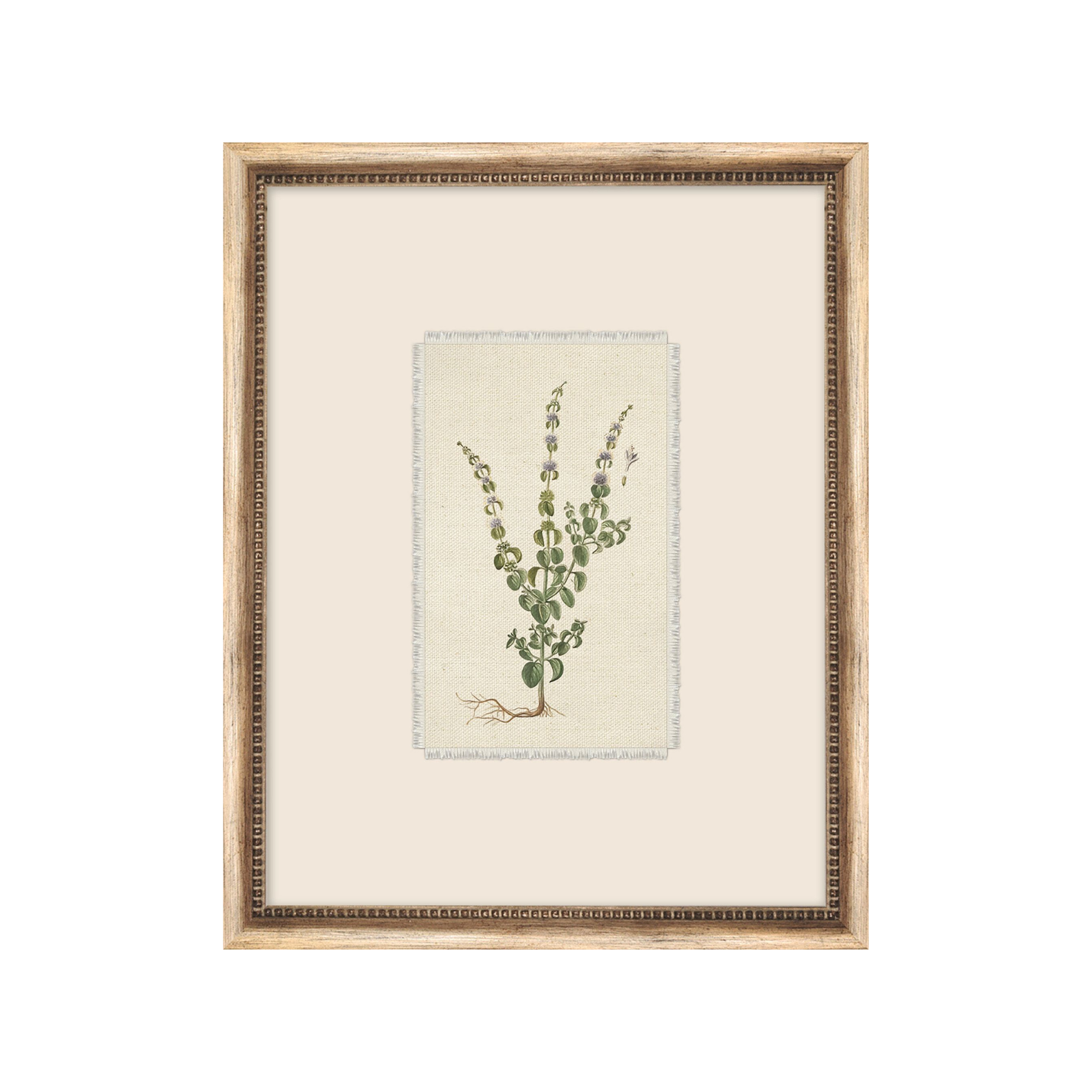 Petite Floral