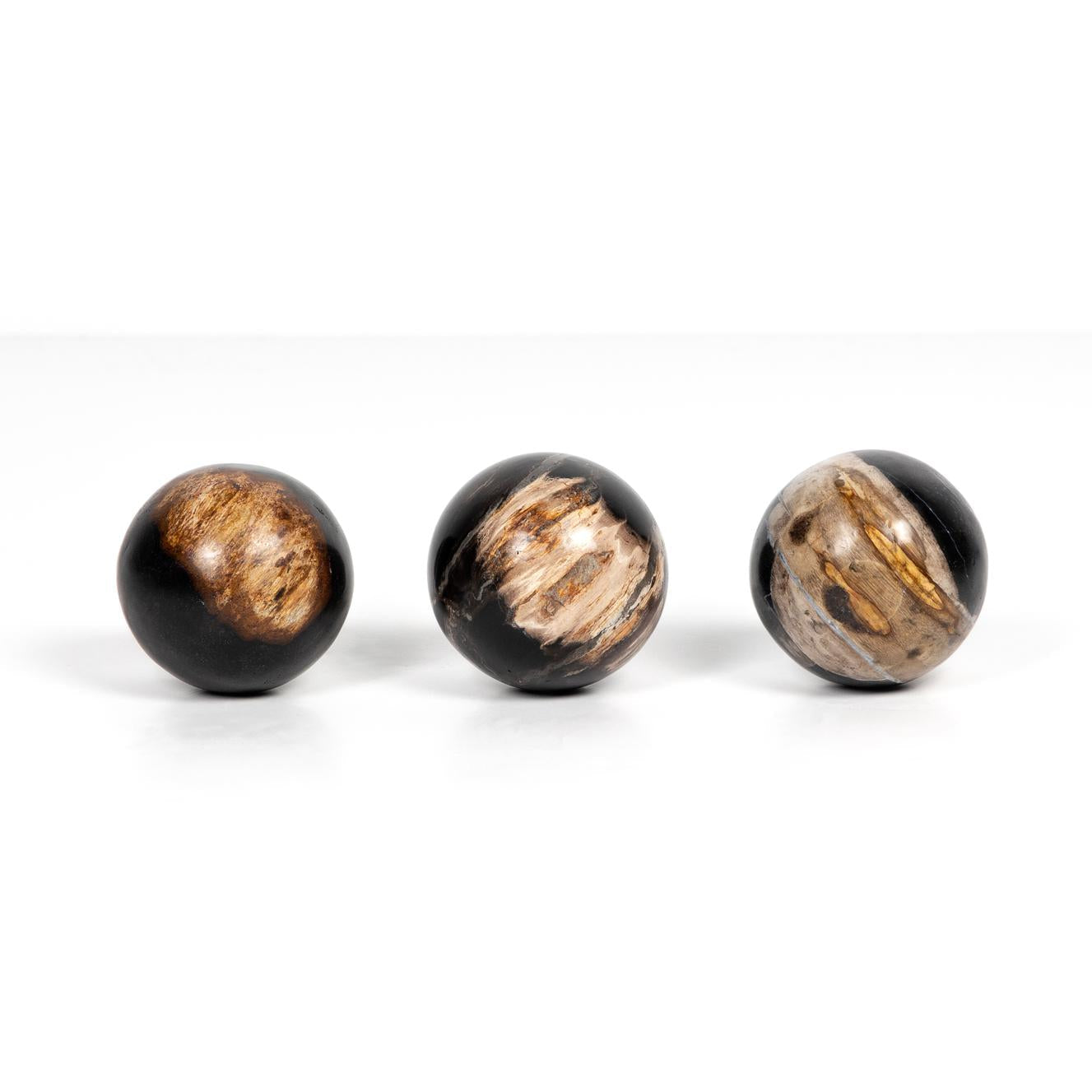 Petrified Wood Balls, Set of 3