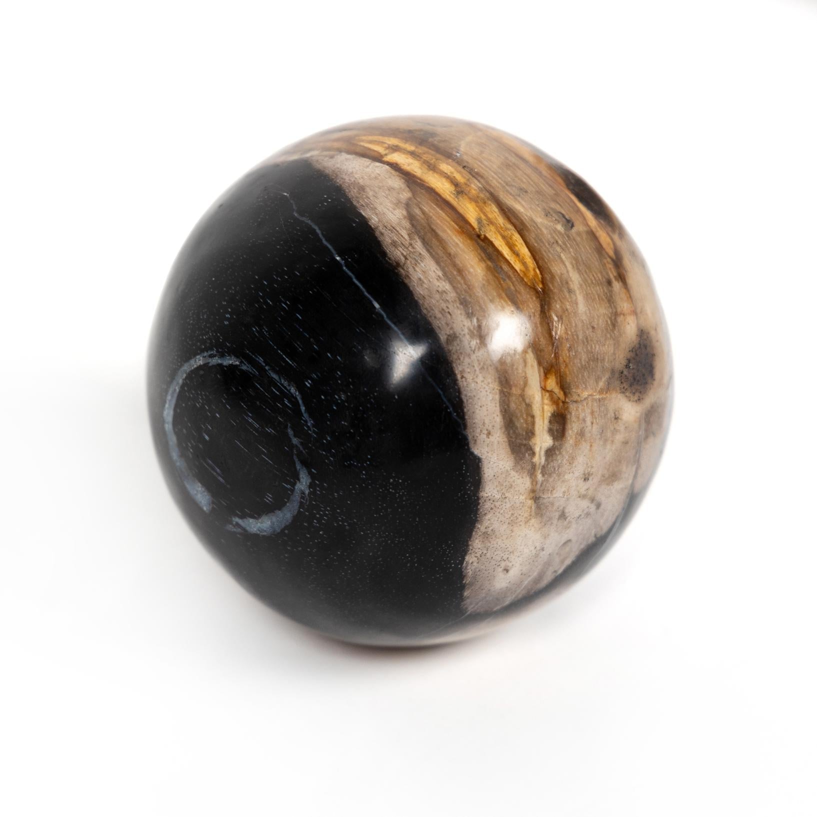 Petrified Wood Balls, Set of 3