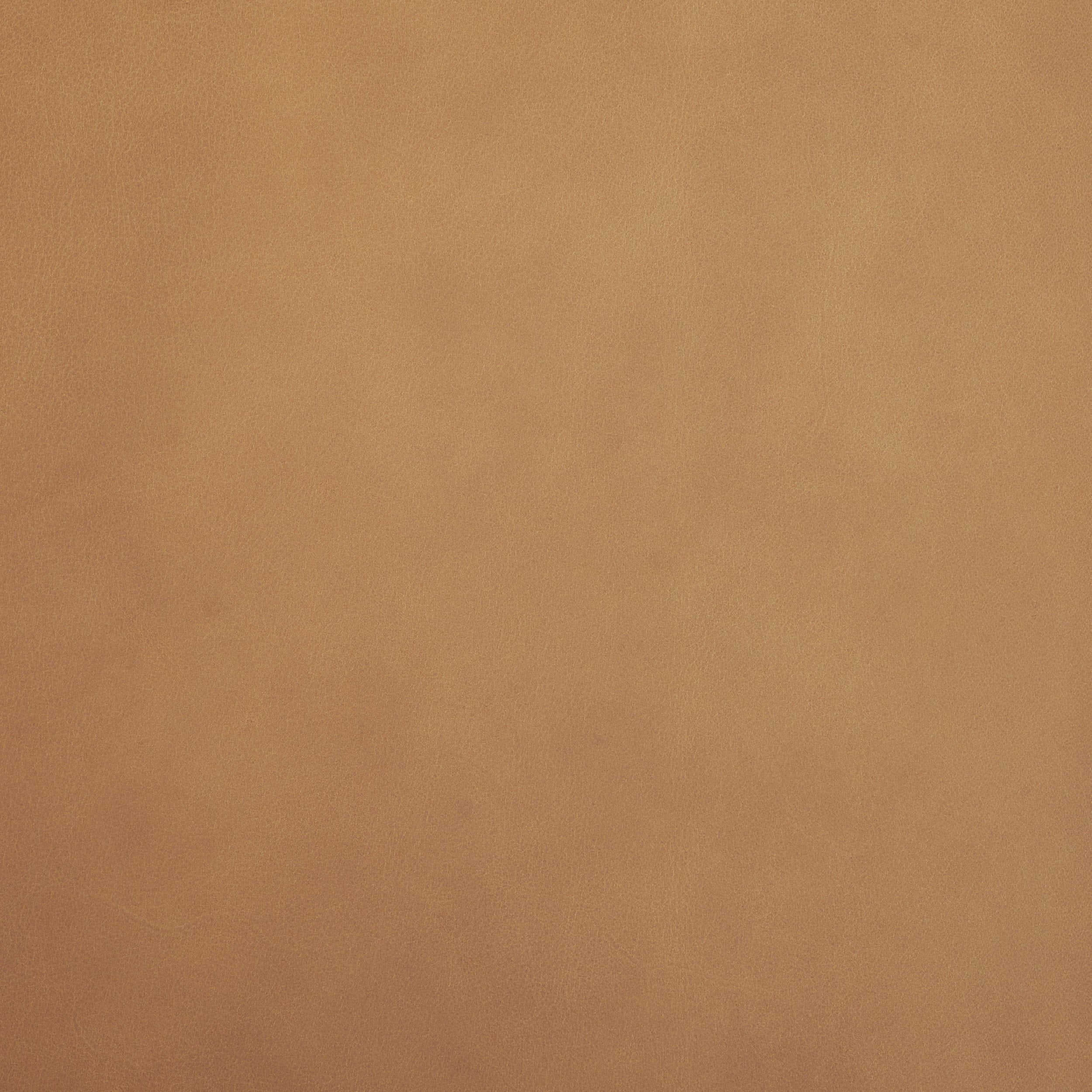 Mikaela Slope Dining Chair, Set of 2 - StyleMeGHD - Dining Chairs