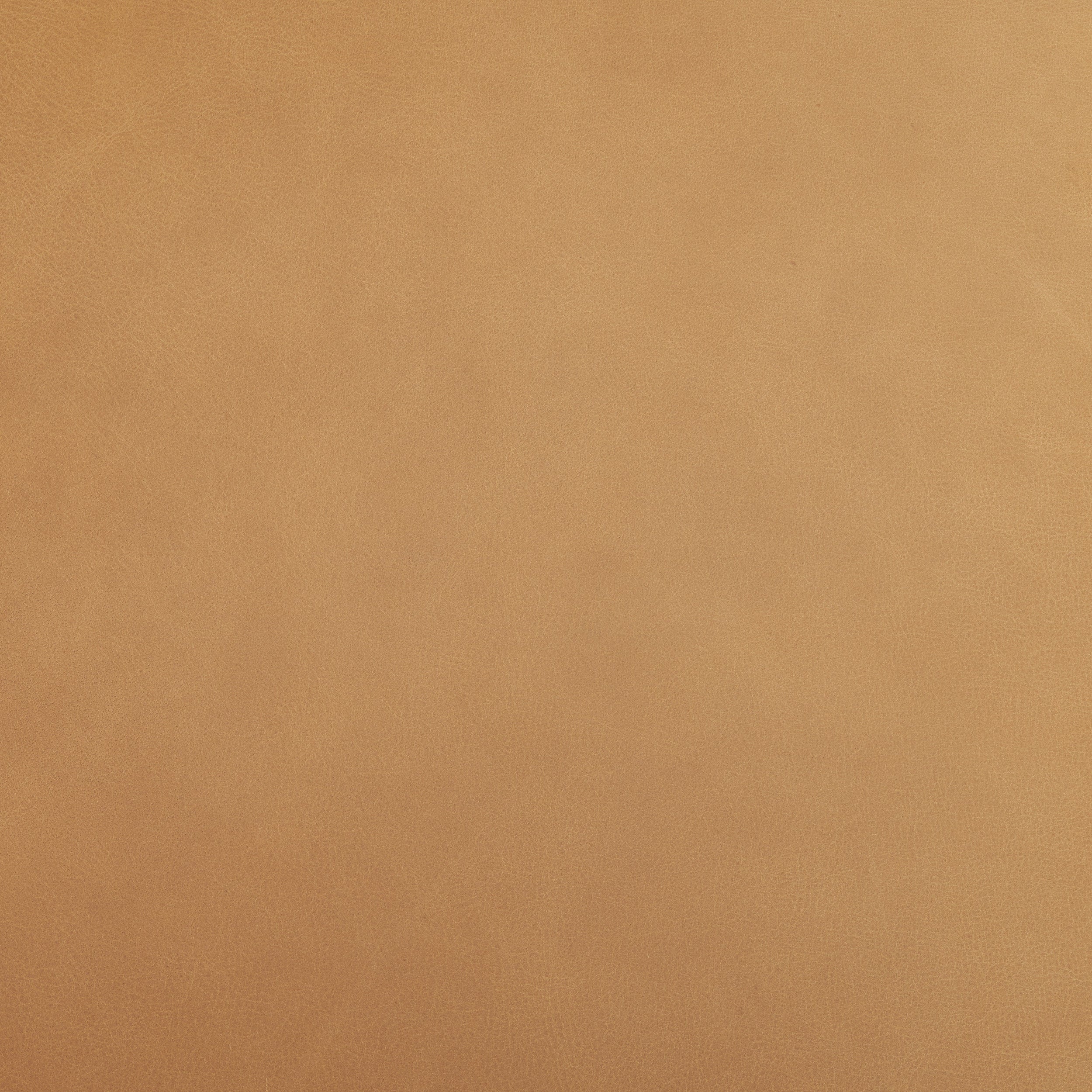 Nataly Dining Chair-Dining Chairs-StyleMeGHD