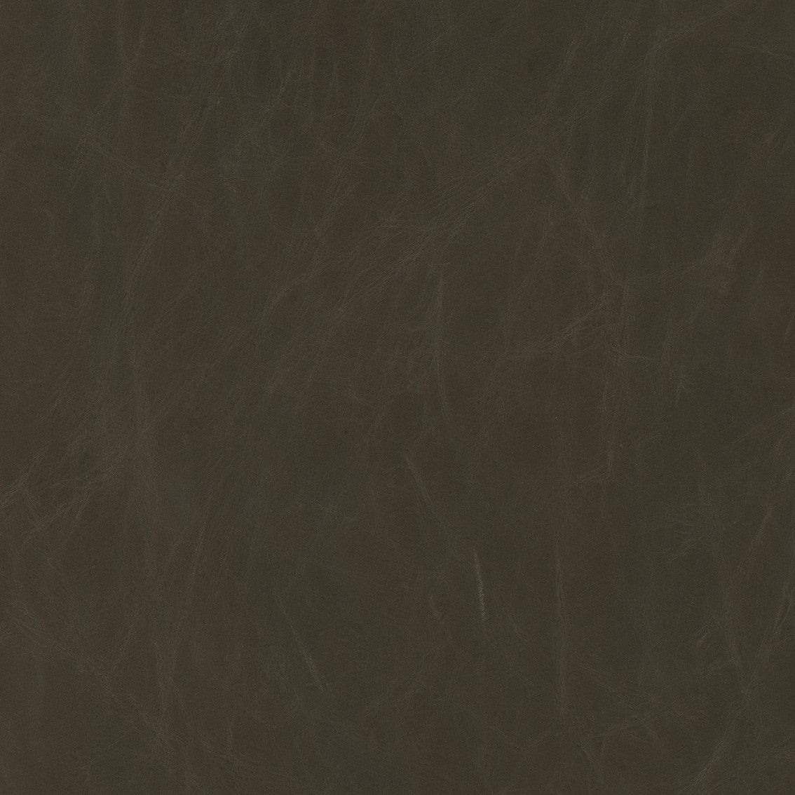 Parker Dining Chair, Set of 2