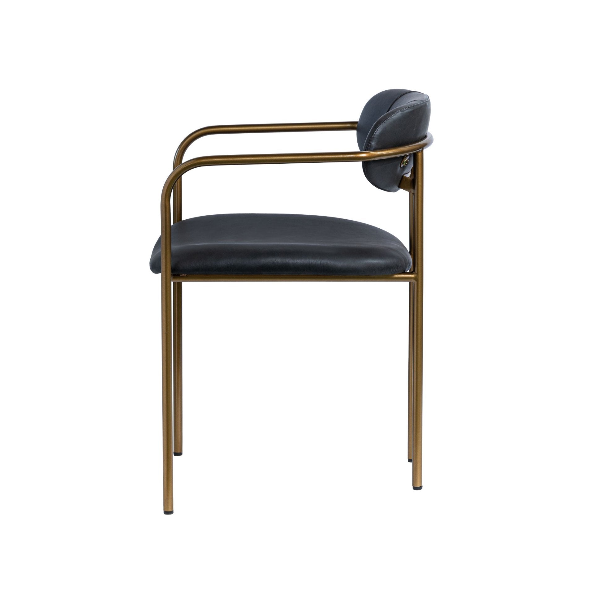 Parker Dining Chair, Set of 2