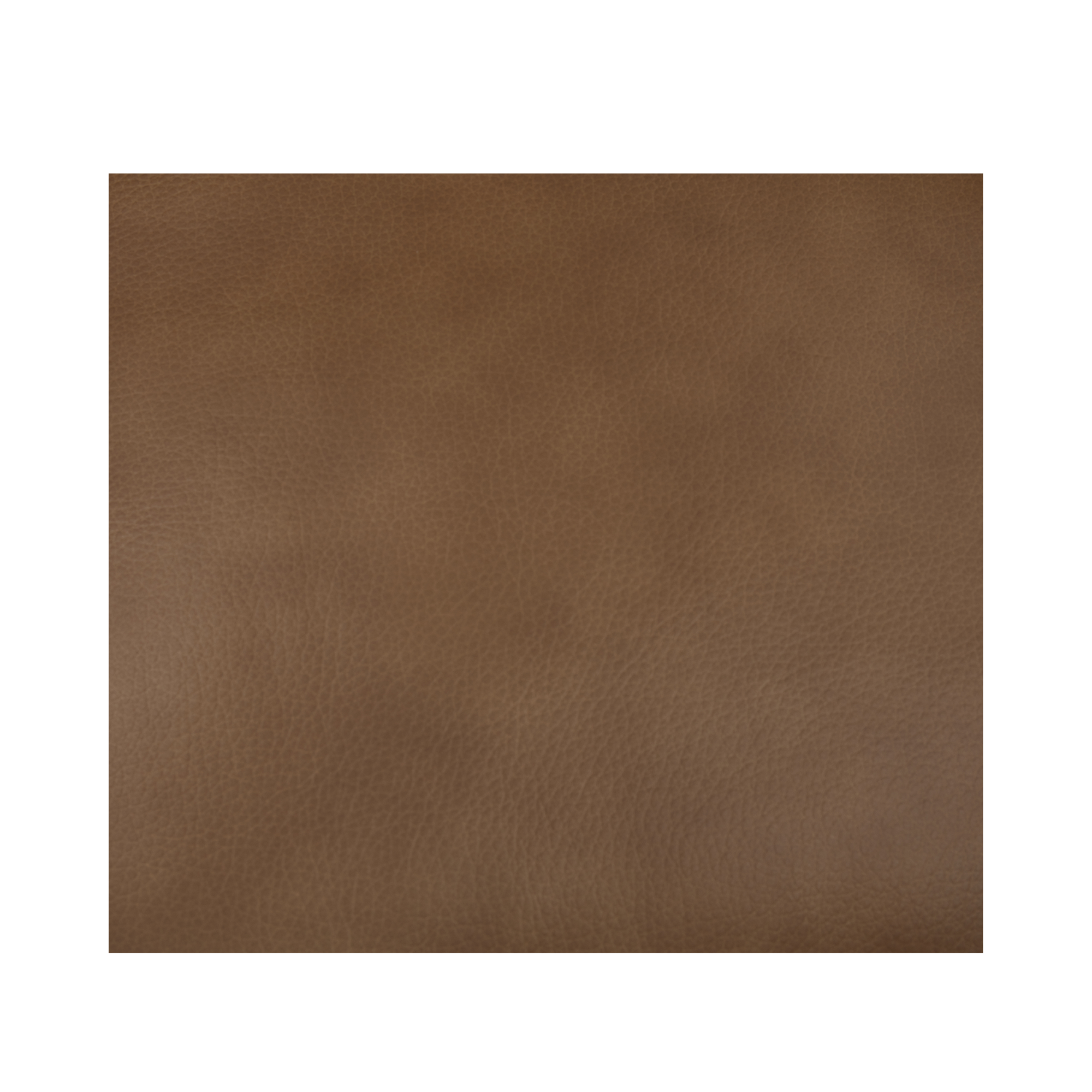 Mara Rolling Dining Chair