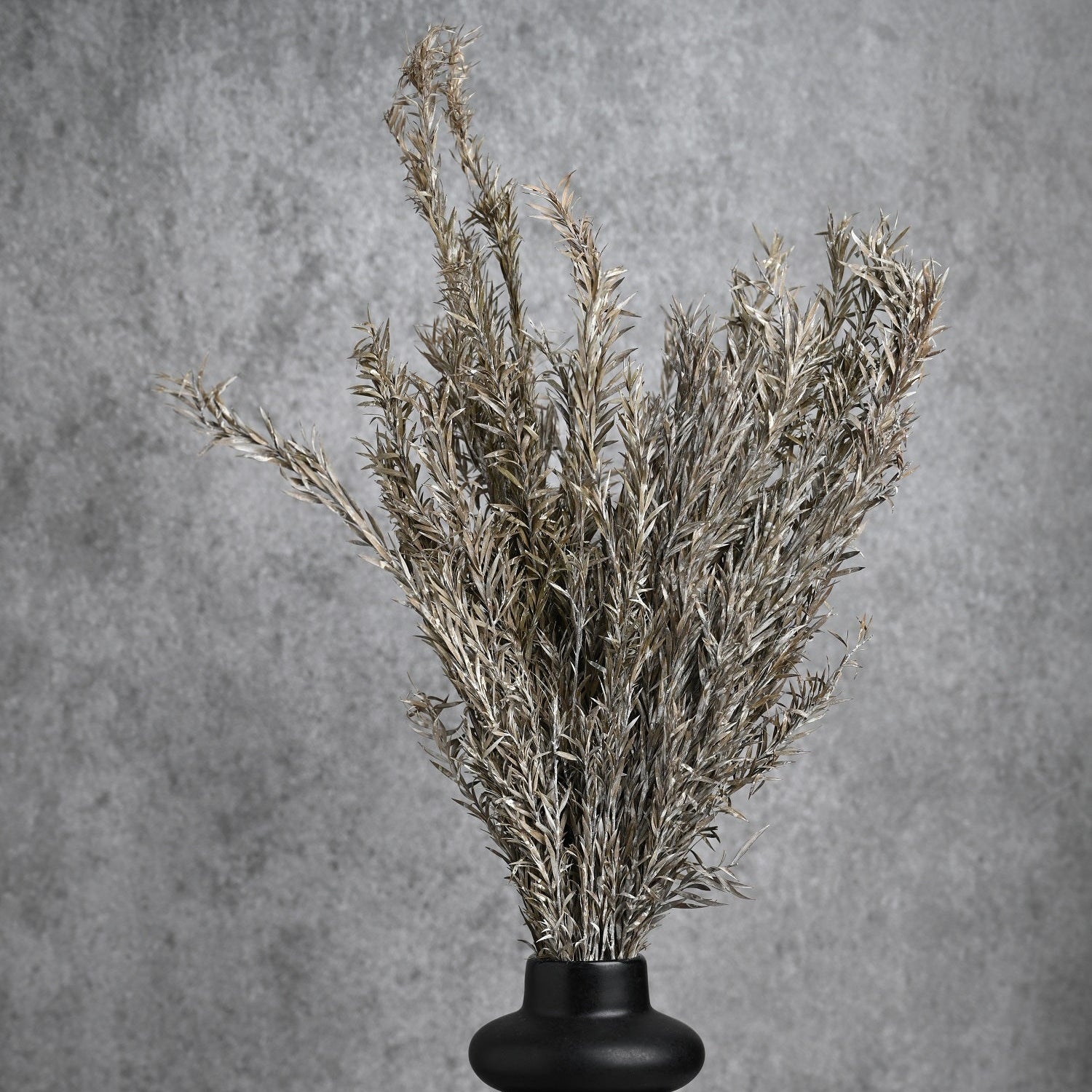 White Wash Dried Stems