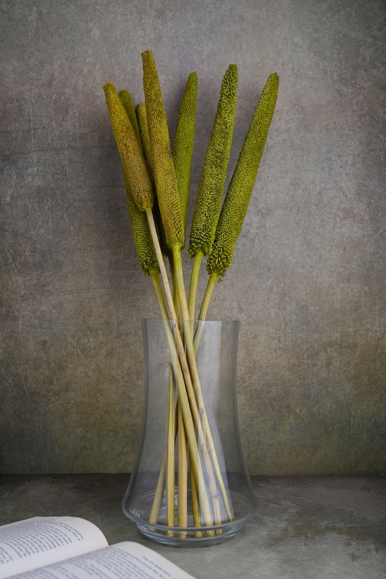 Dried Bazra Bunch