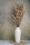Natural Bui Grass Bunch