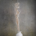 Dried Curly Ting Ting Bunch