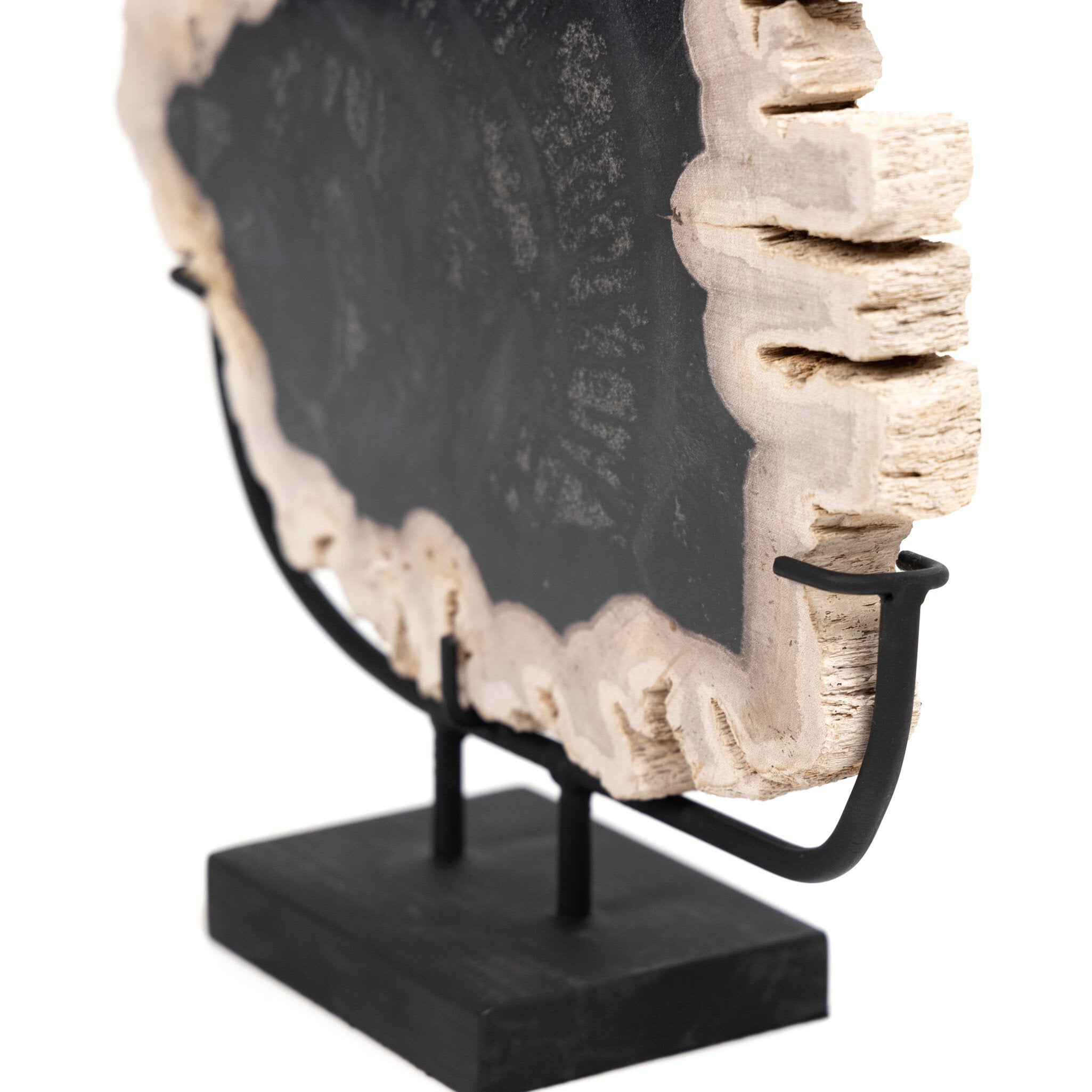 Petrified Wood Sculpture-Decorative Objects-StyleMeGHD