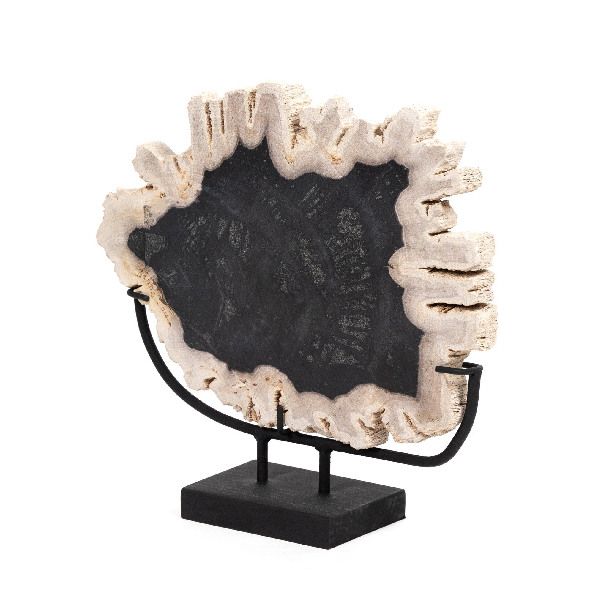 Petrified Wood Sculpture-Decorative Objects-StyleMeGHD