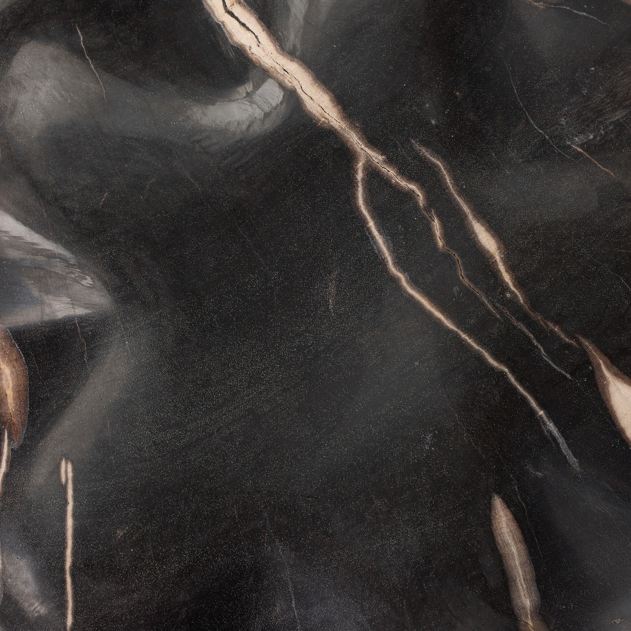 Petrified Wood Organic Sculpture, Set of 3-Decorative Objects-StyleMeGHD