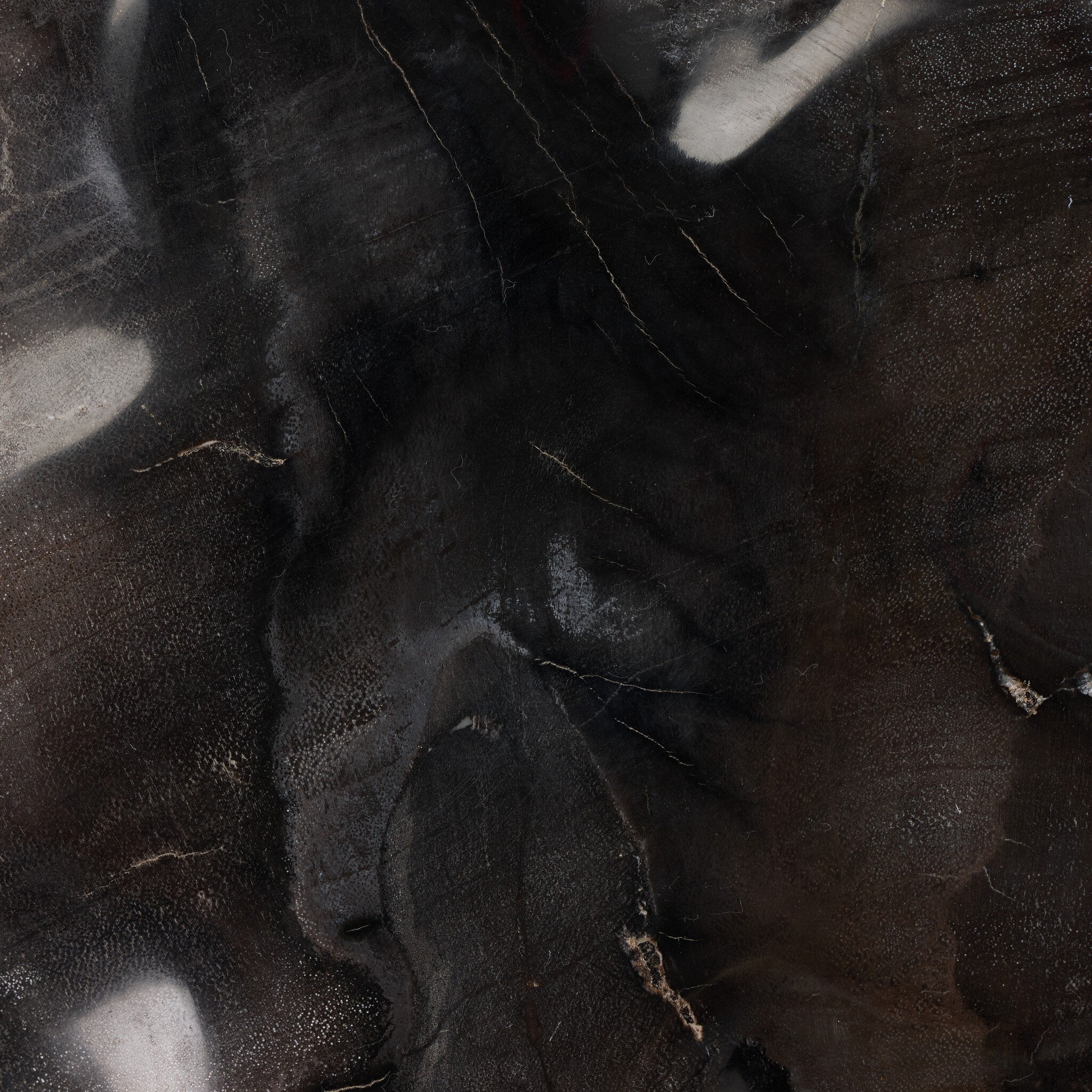 Petrified Wood Organic Sculpture, Set of 3-Decorative Objects-StyleMeGHD