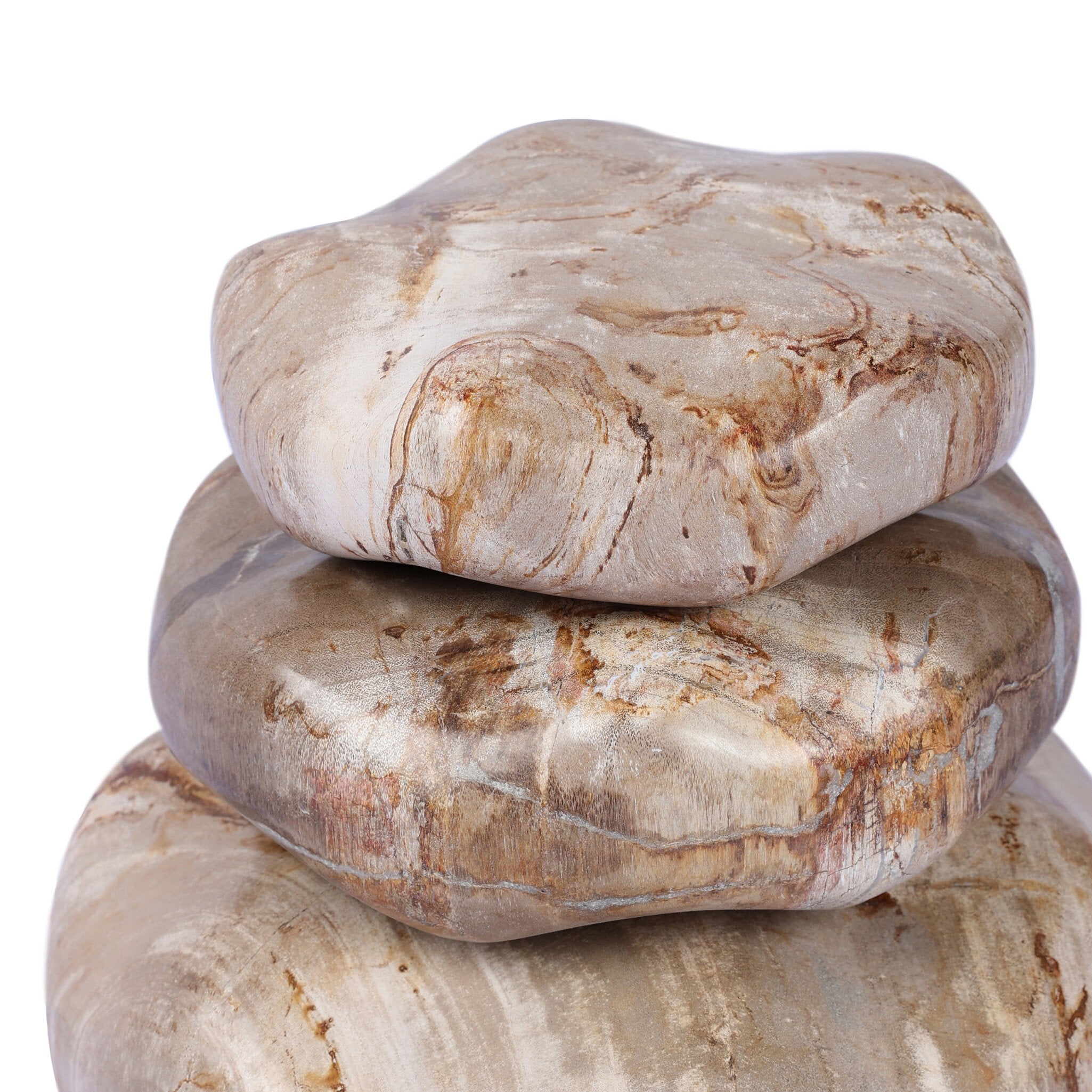 Petrified Wood Organic Sculpture, Set of 3-Decorative Objects-StyleMeGHD