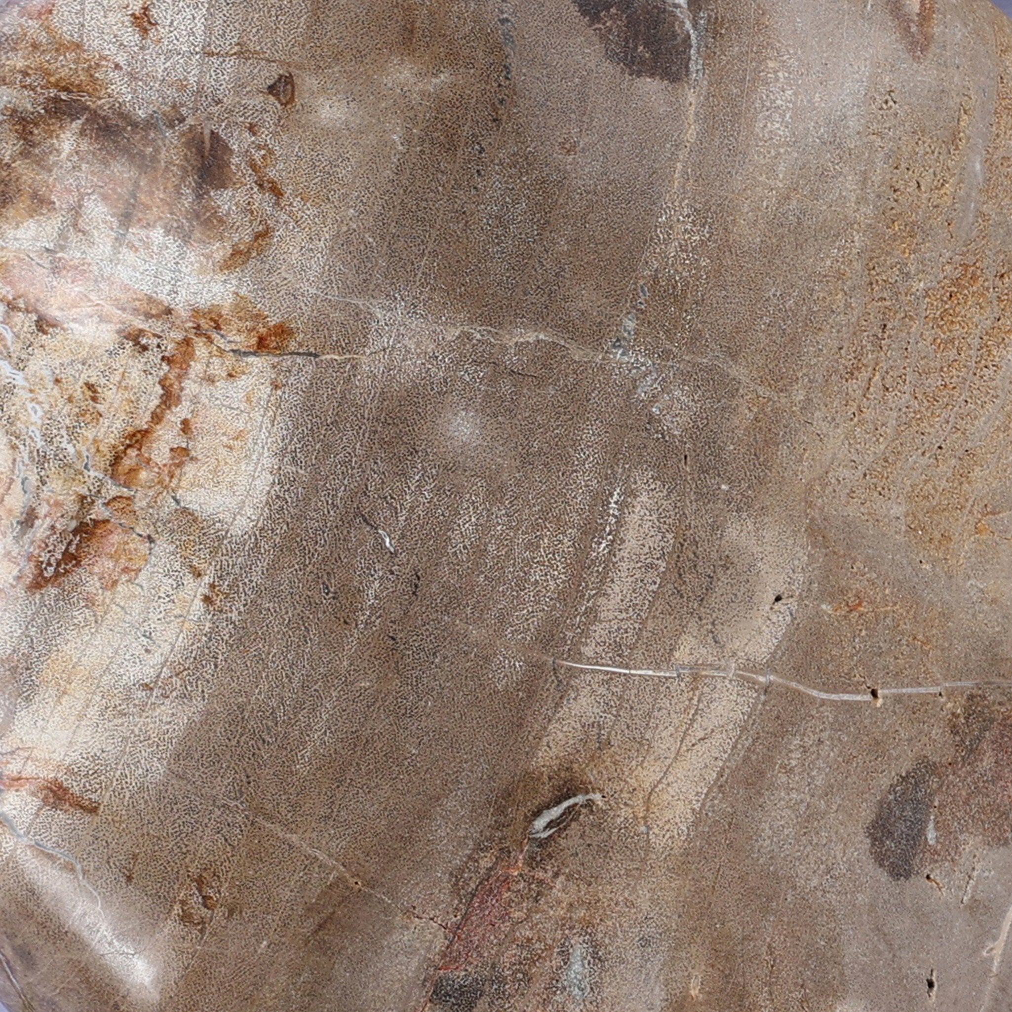 Petrified Wood Organic Sculpture, Set of 3-Decorative Objects-StyleMeGHD