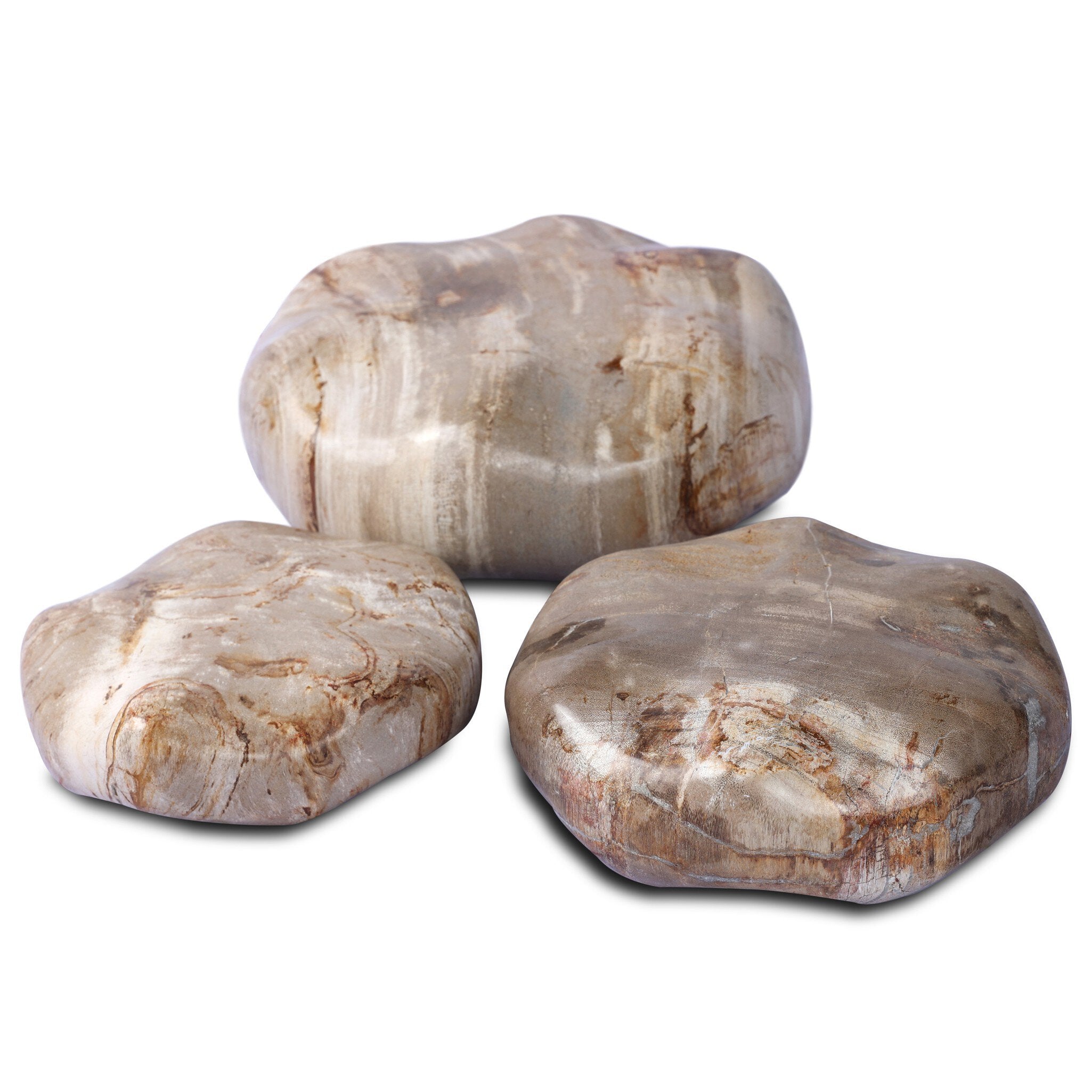 Petrified Wood Organic Sculpture, Set of 3-Decorative Objects-StyleMeGHD