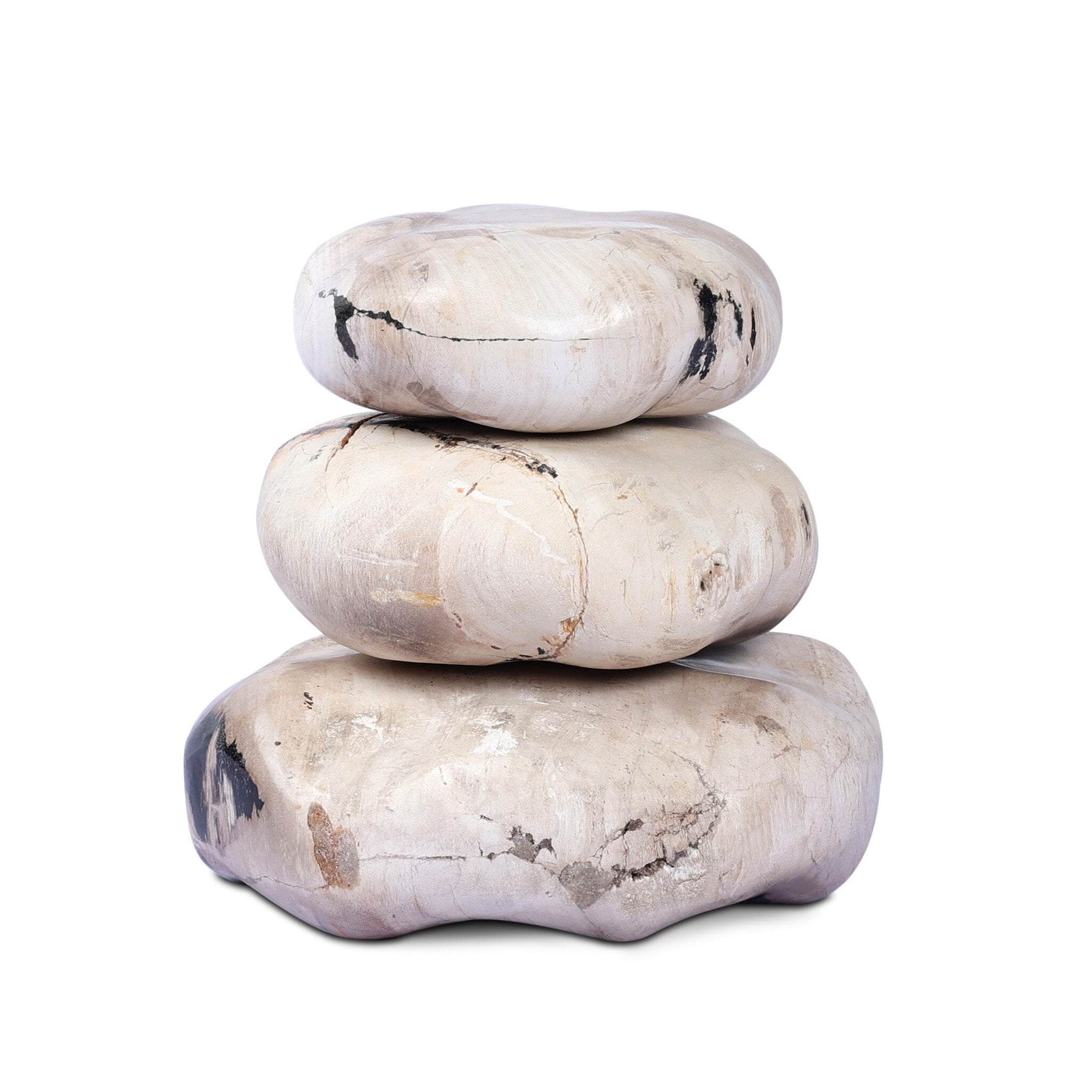 Petrified Wood Organic Sculpture, Set of 3-Decorative Objects-StyleMeGHD