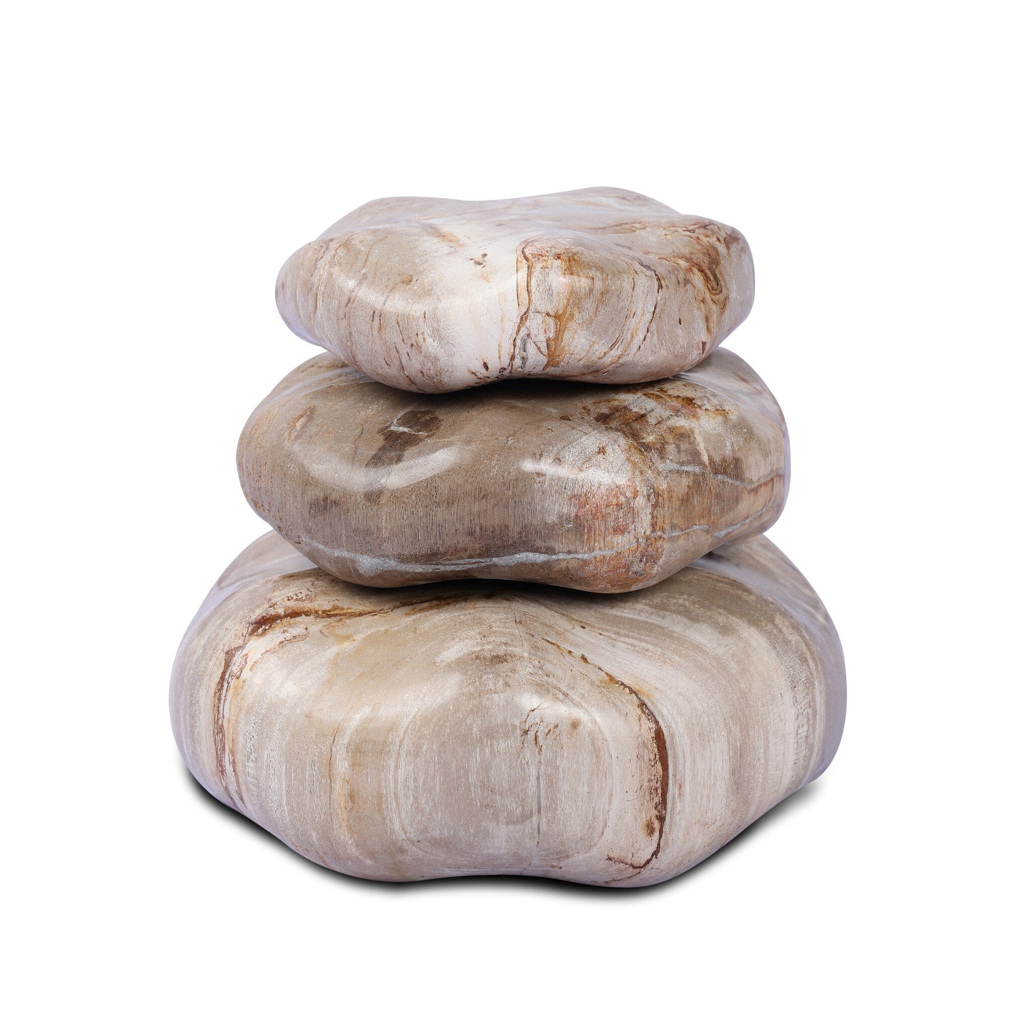 Petrified Wood Organic Sculpture, Set of 3-Decorative Objects-StyleMeGHD