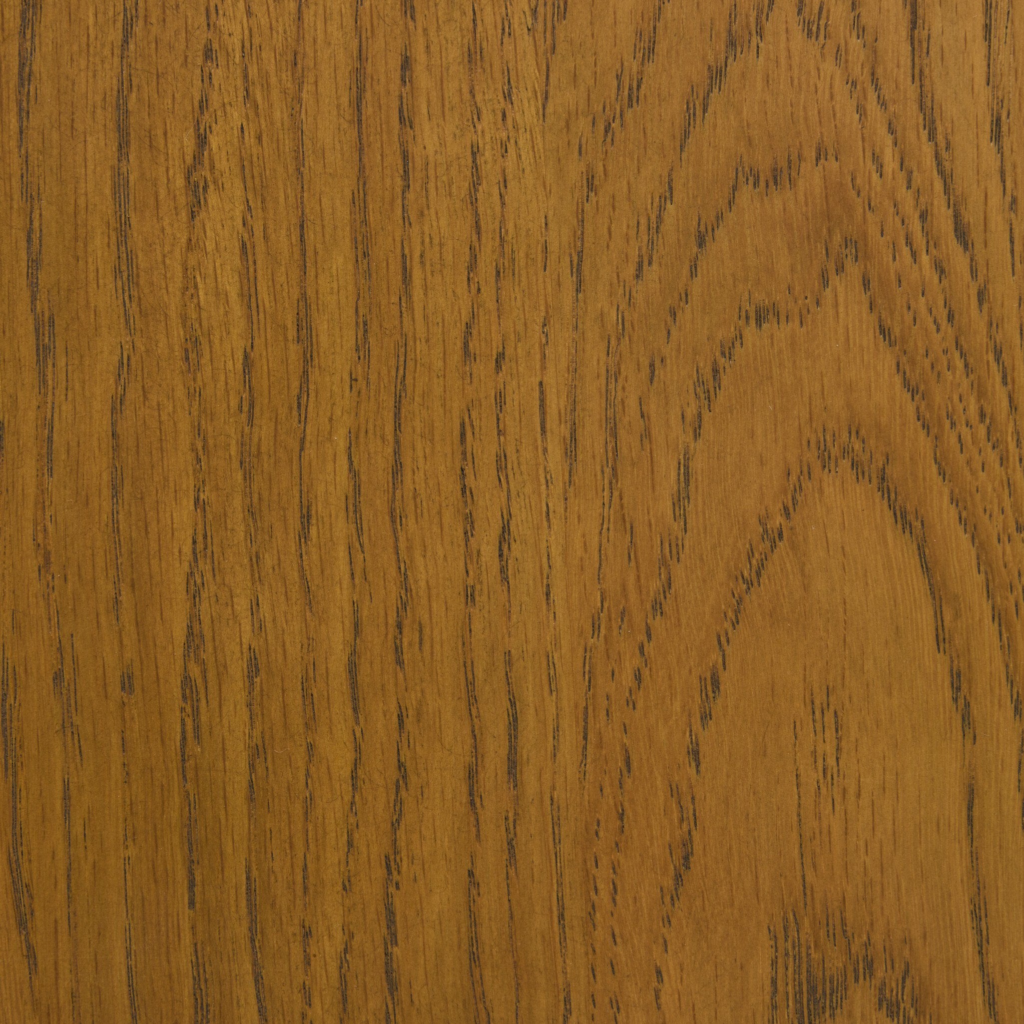Rory Bar + Counter Stool - Sandy Oak
