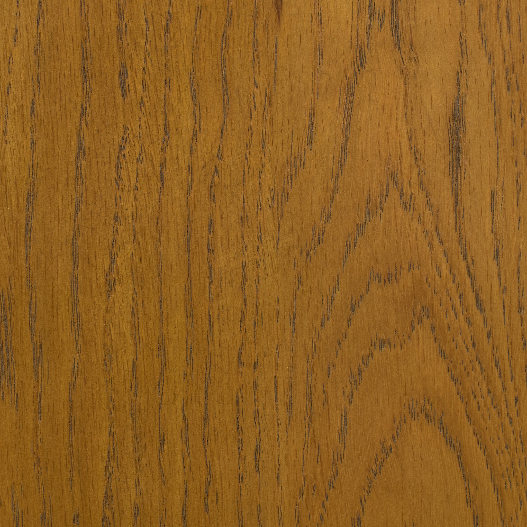 Rory Bar + Counter Stool - Sandy Oak