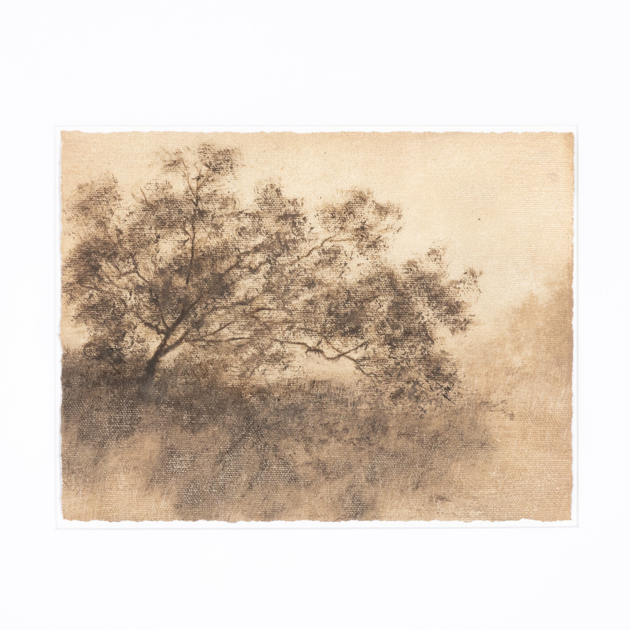 Hillside Haze-StyleMeGHD