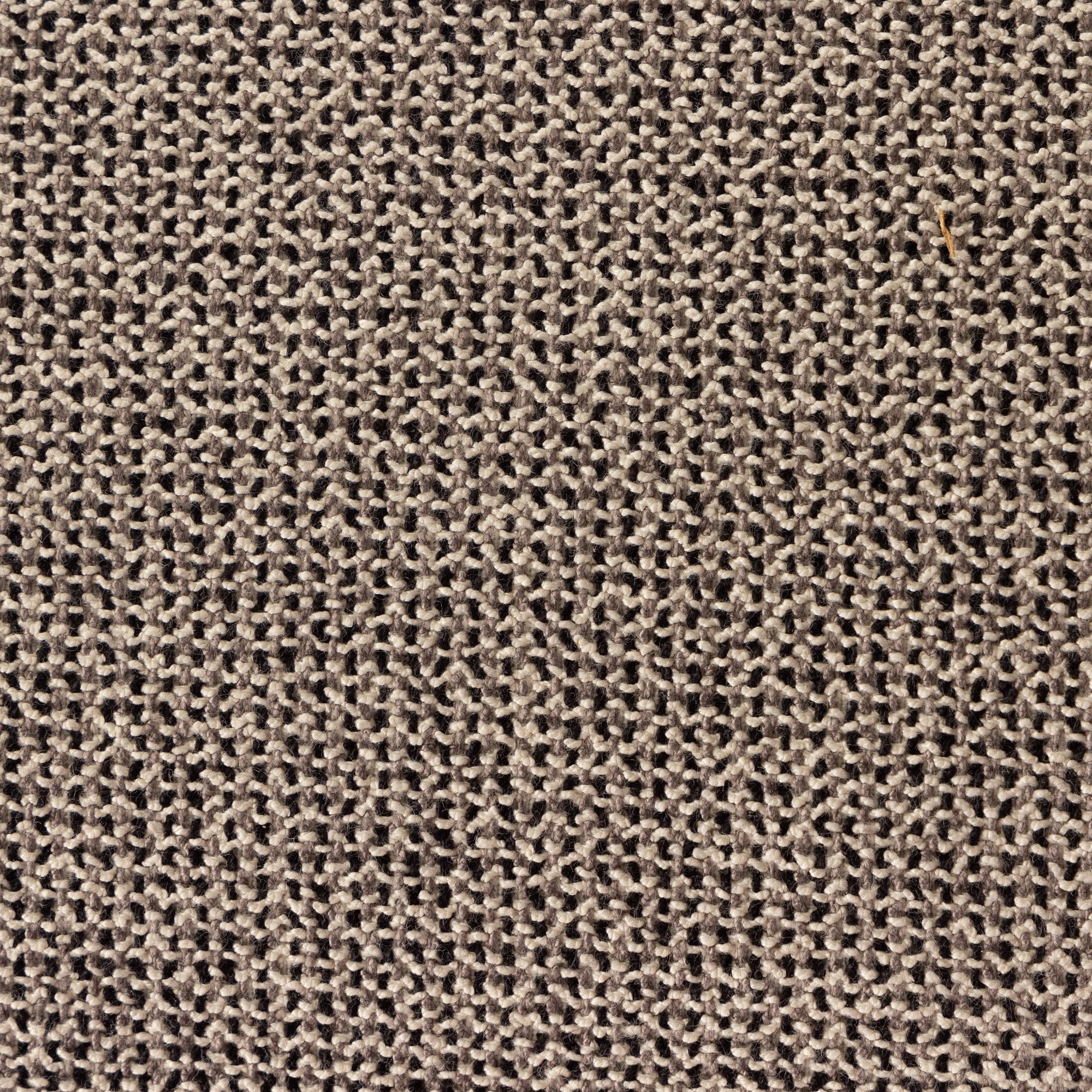 Cleo Dining Armchair