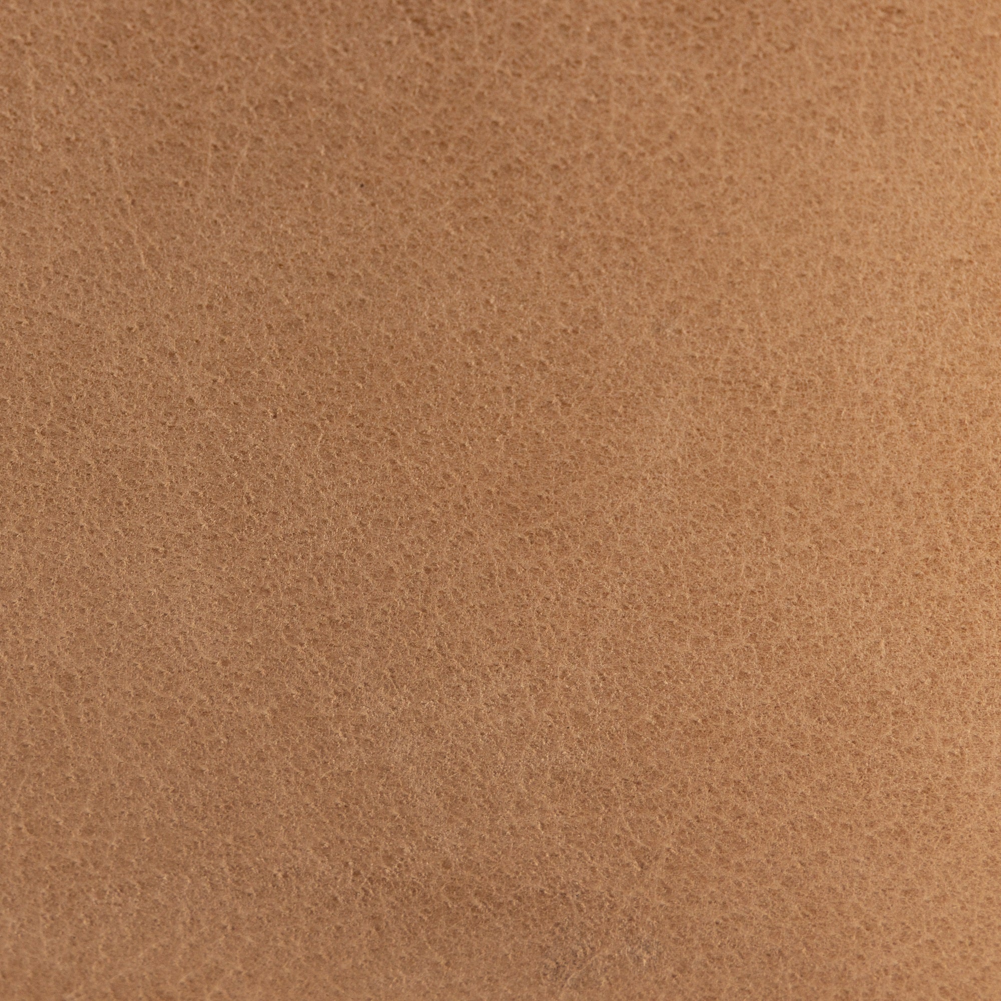 Cleo Dining Armchair