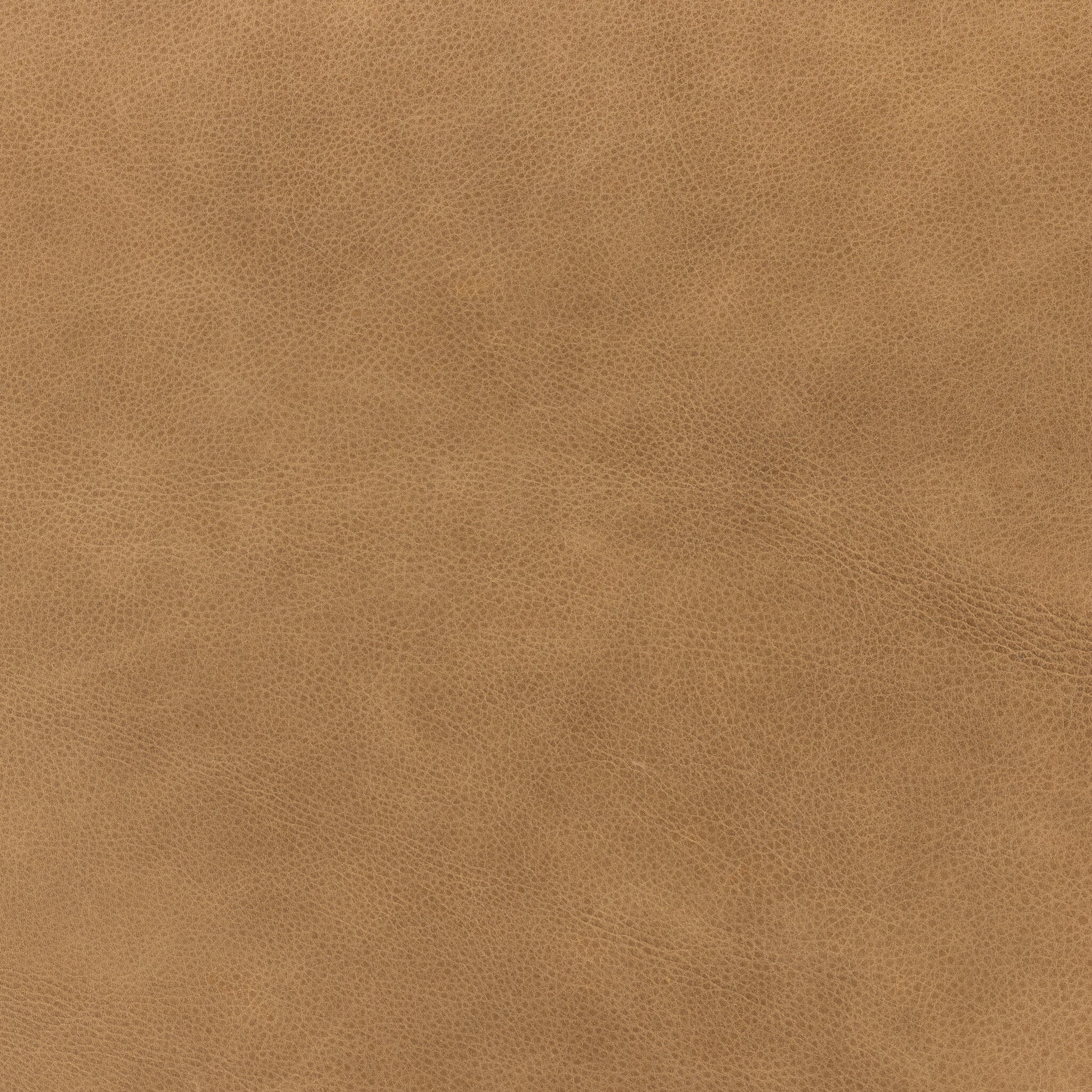 Aniston Dining Chair-Dining Chairs-StyleMeGHD