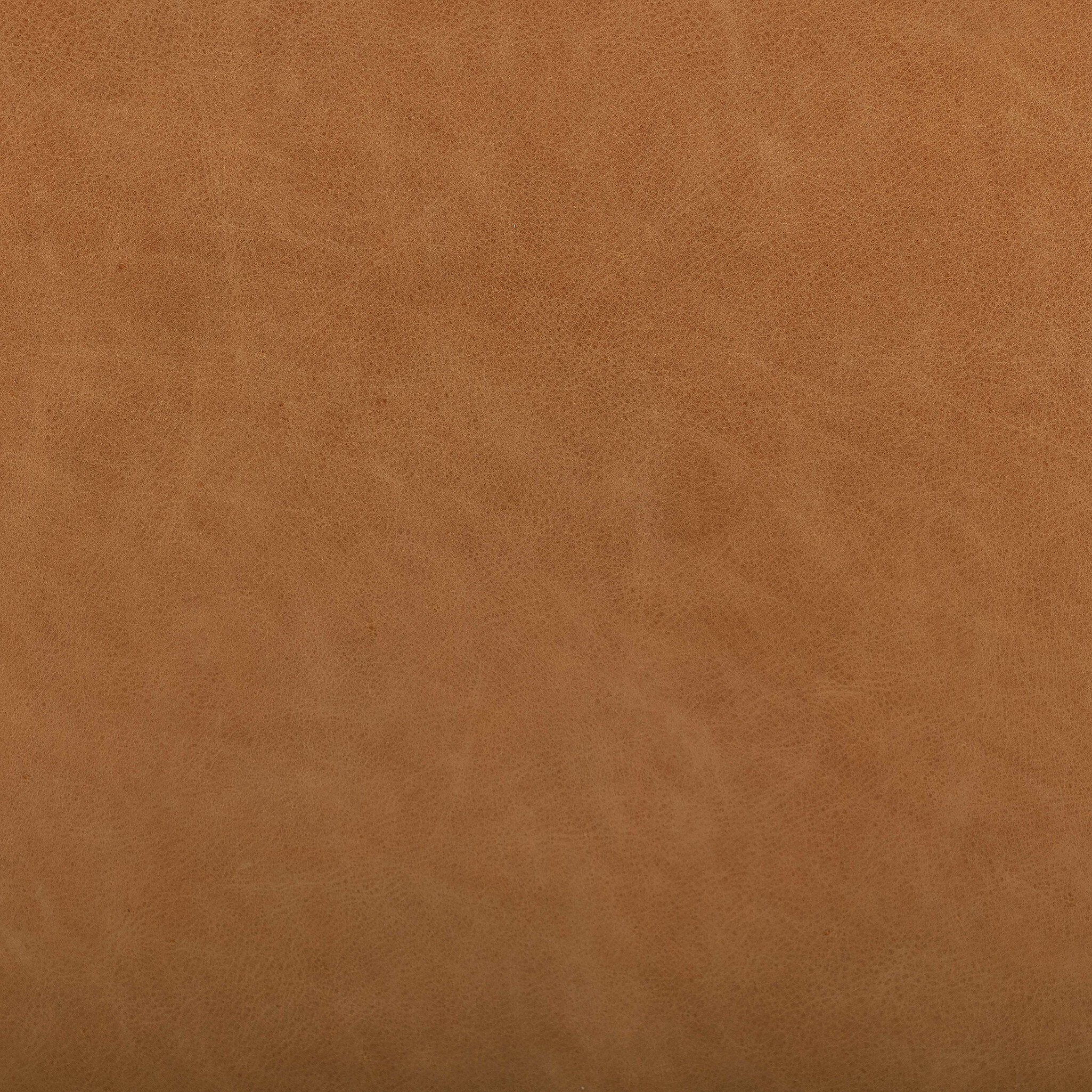 Amira Dining Armchair-Dining Chairs-StyleMeGHD