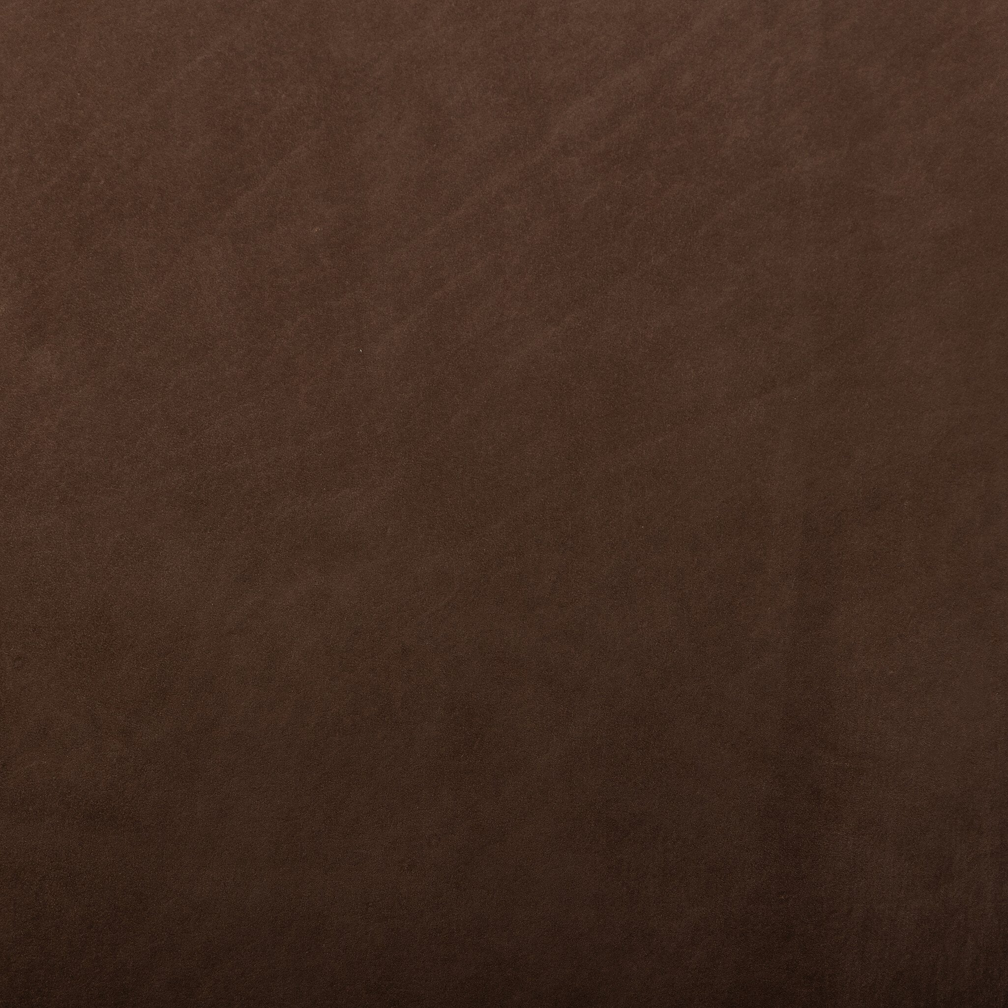 Jaya Counter Stool-StyleMeGHD