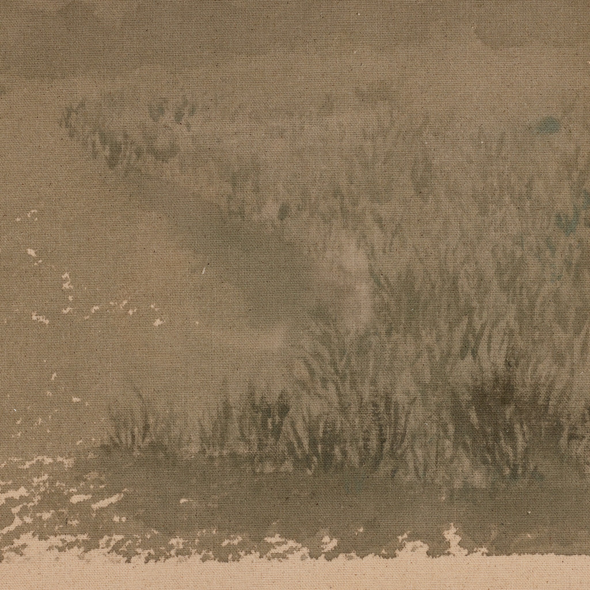 Daughters of The Water